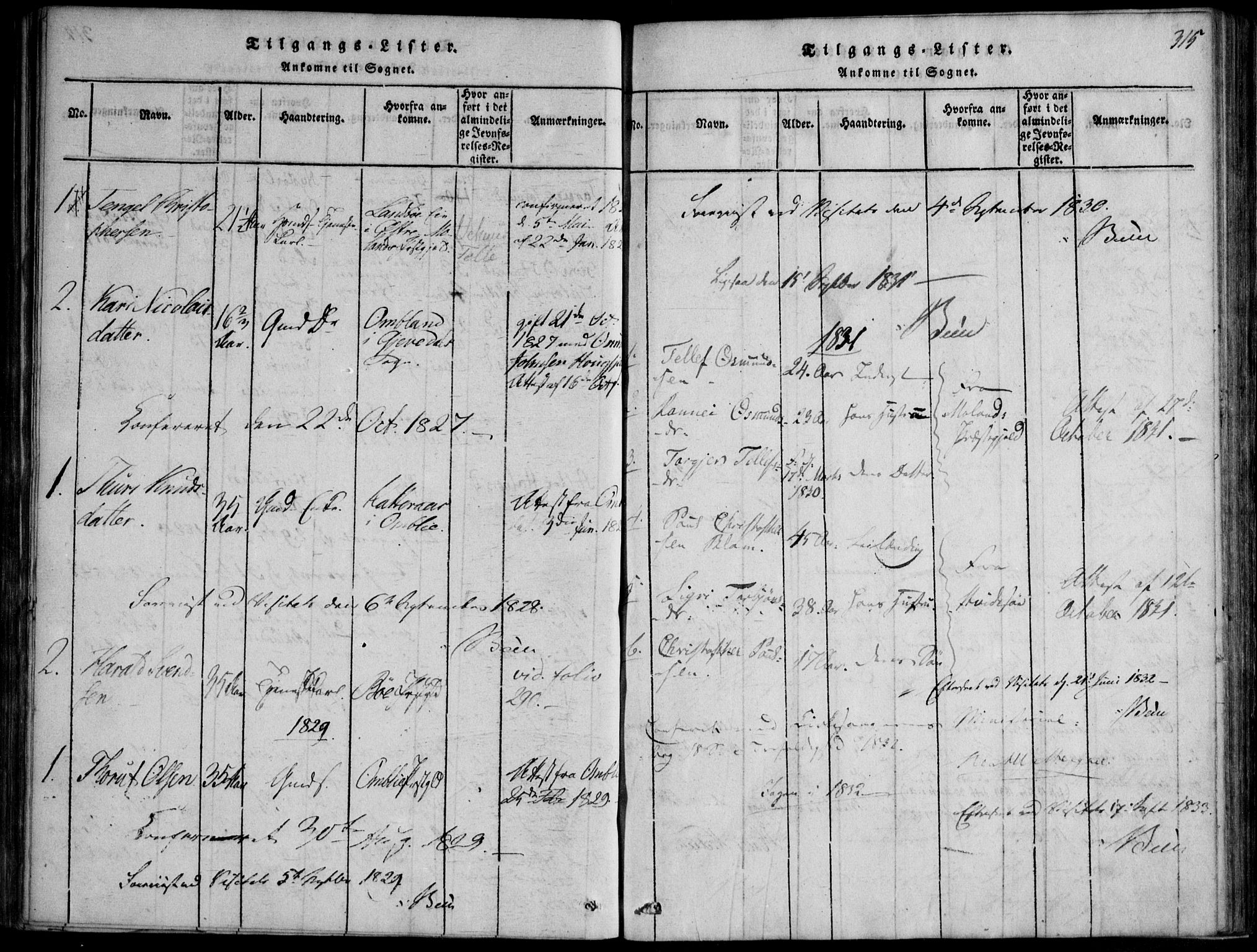 Nissedal kirkebøker, SAKO/A-288/F/Fb/L0001: Parish register (official) no. II 1, 1814-1845, p. 315