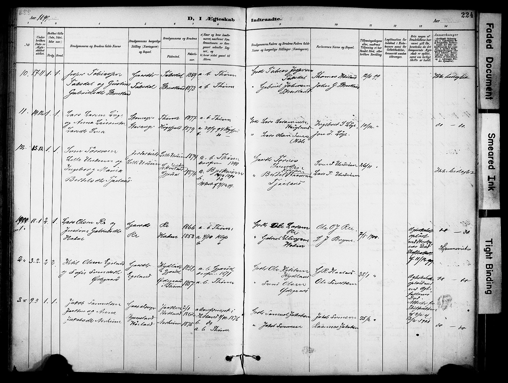 Lye sokneprestkontor, SAST/A-101794/001/30BA/L0011: Parish register (official) no. A 9, 1893-1903, p. 224