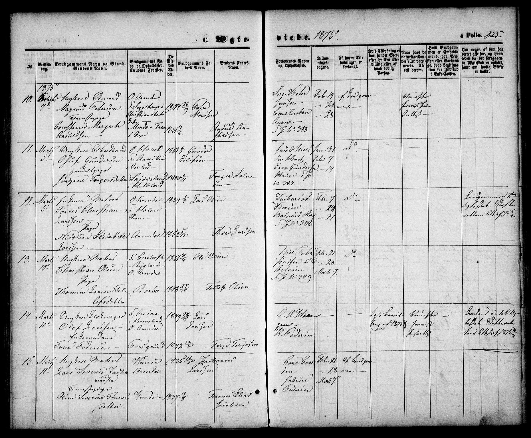 Arendal sokneprestkontor, Trefoldighet, AV/SAK-1111-0040/F/Fa/L0007: Parish register (official) no. A 7, 1868-1878, p. 325