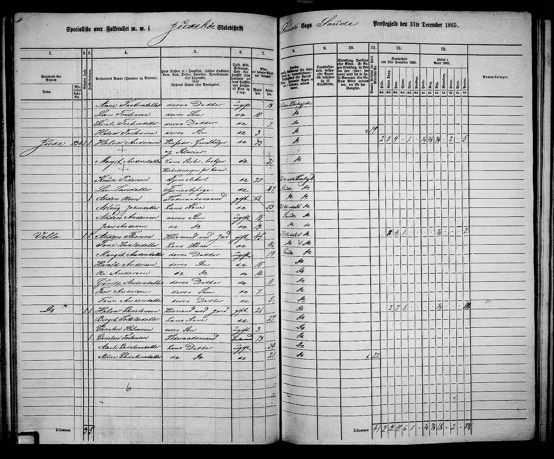 RA, 1865 census for Sauherad, 1865, p. 73