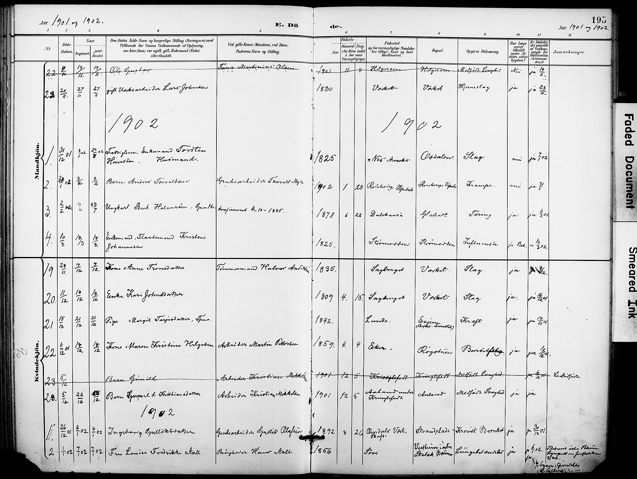 Holla kirkebøker, SAKO/A-272/F/Fa/L0010: Parish register (official) no. 10, 1897-1907, p. 195