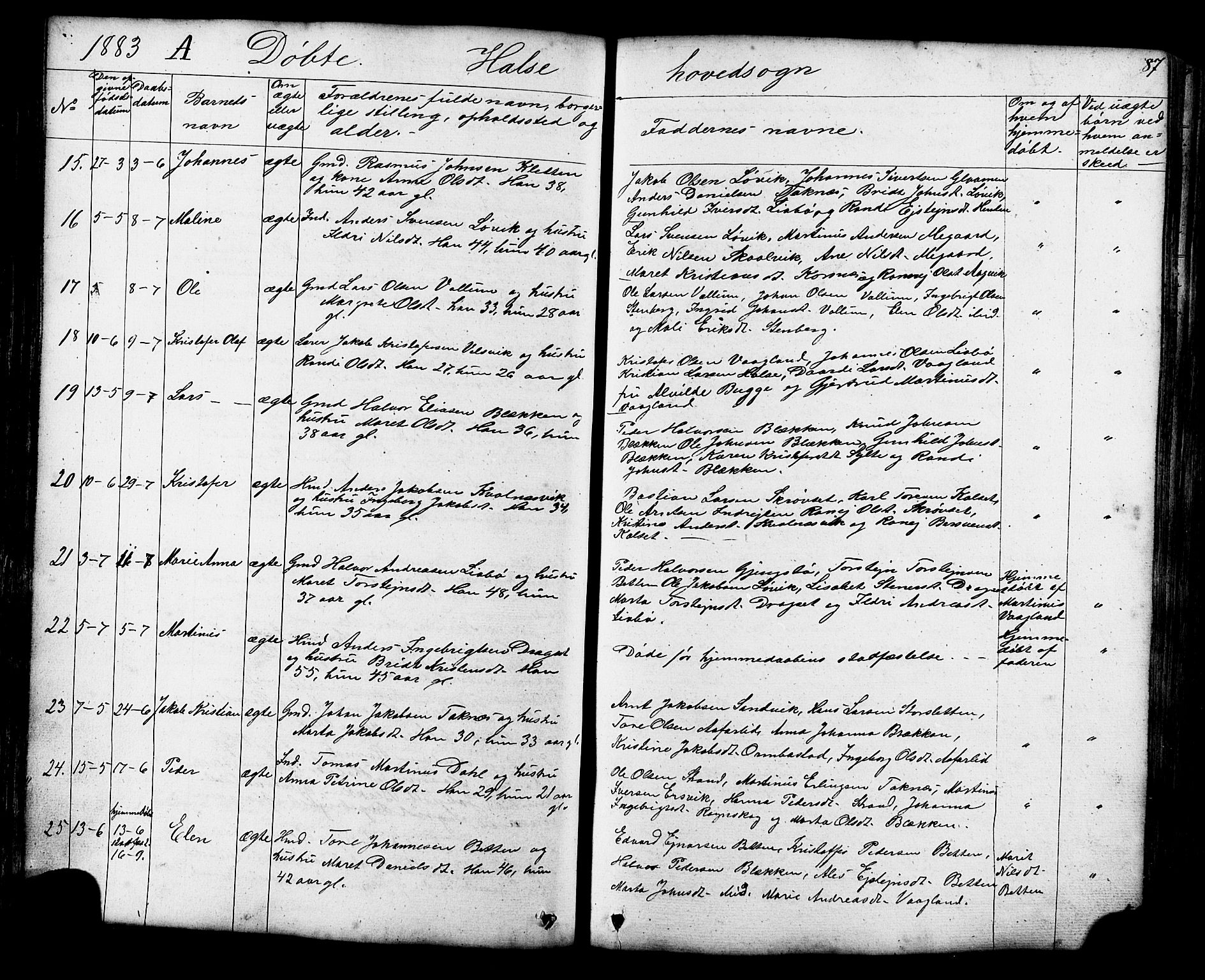 Ministerialprotokoller, klokkerbøker og fødselsregistre - Møre og Romsdal, AV/SAT-A-1454/576/L0890: Parish register (copy) no. 576C01, 1837-1908, p. 87