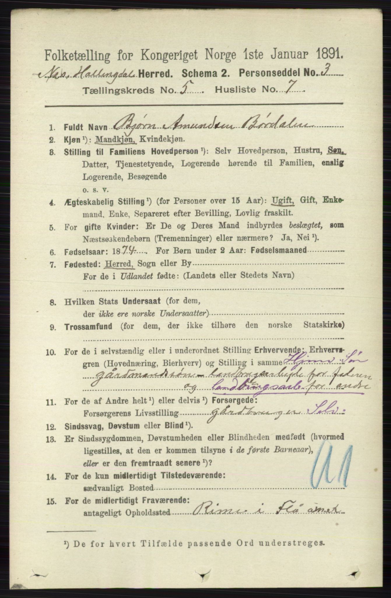 RA, 1891 census for 0616 Nes, 1891, p. 2664