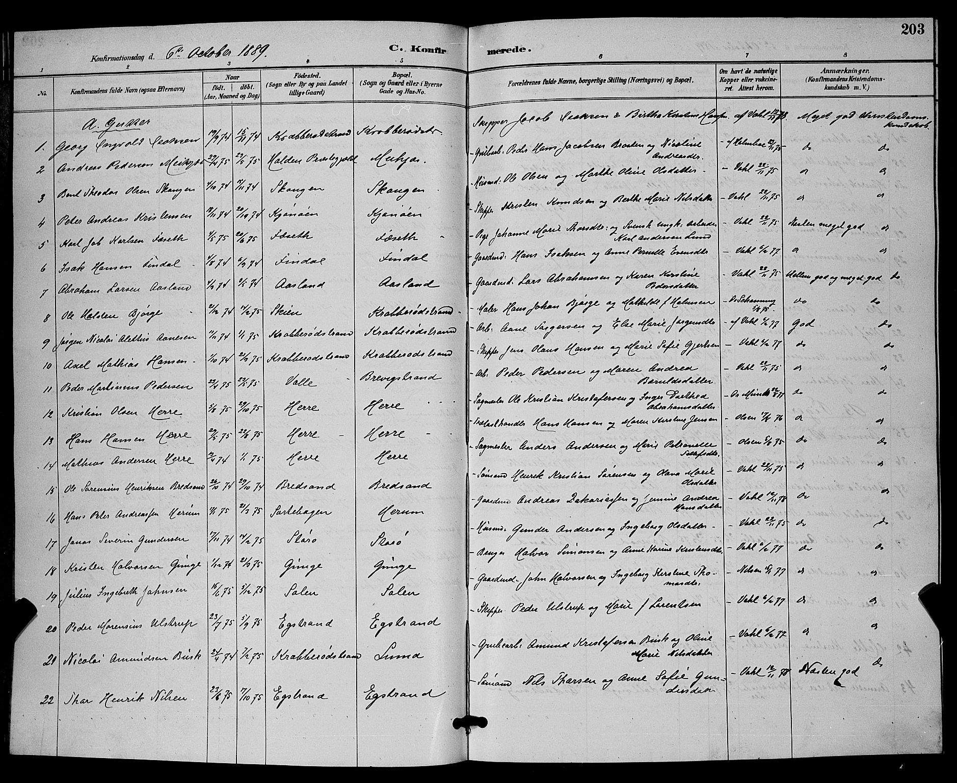 Bamble kirkebøker, AV/SAKO-A-253/G/Ga/L0009: Parish register (copy) no. I 9, 1888-1900, p. 203