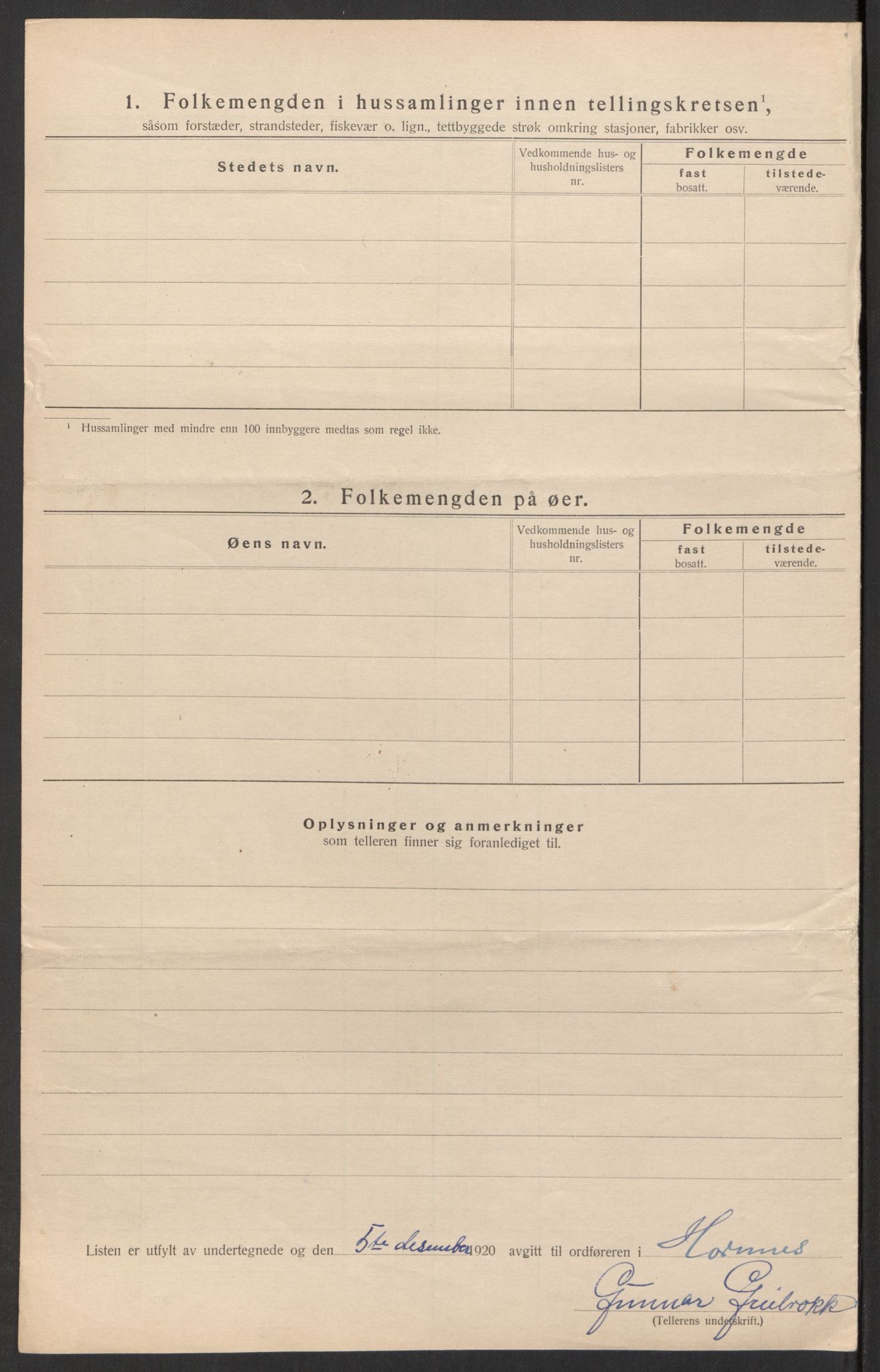 SAK, 1920 census for Hornnes, 1920, p. 22