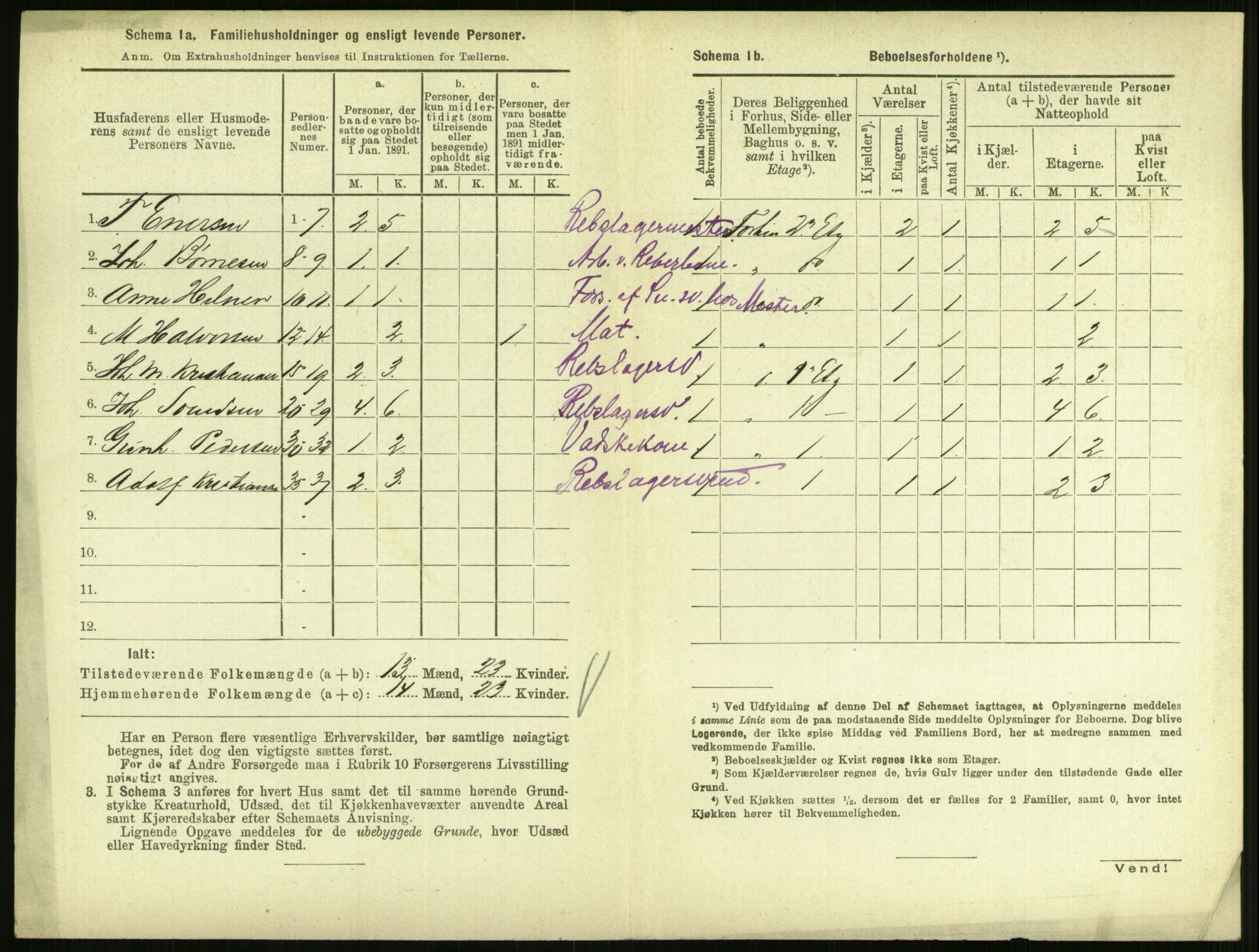 RA, 1891 census for 0707 Larvik, 1891, p. 214