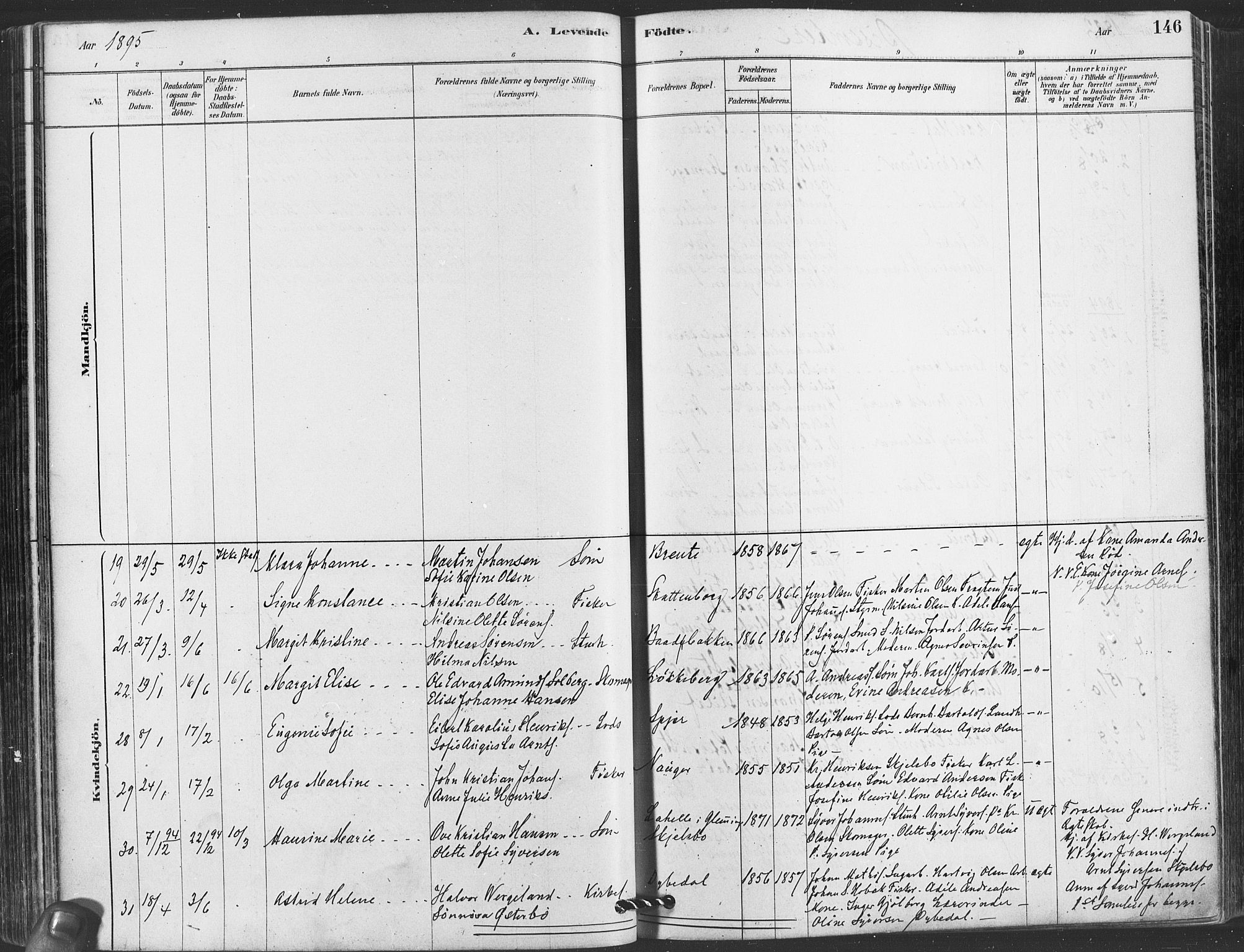 Hvaler prestekontor Kirkebøker, AV/SAO-A-2001/F/Fa/L0008: Parish register (official) no. I 8, 1878-1895, p. 146