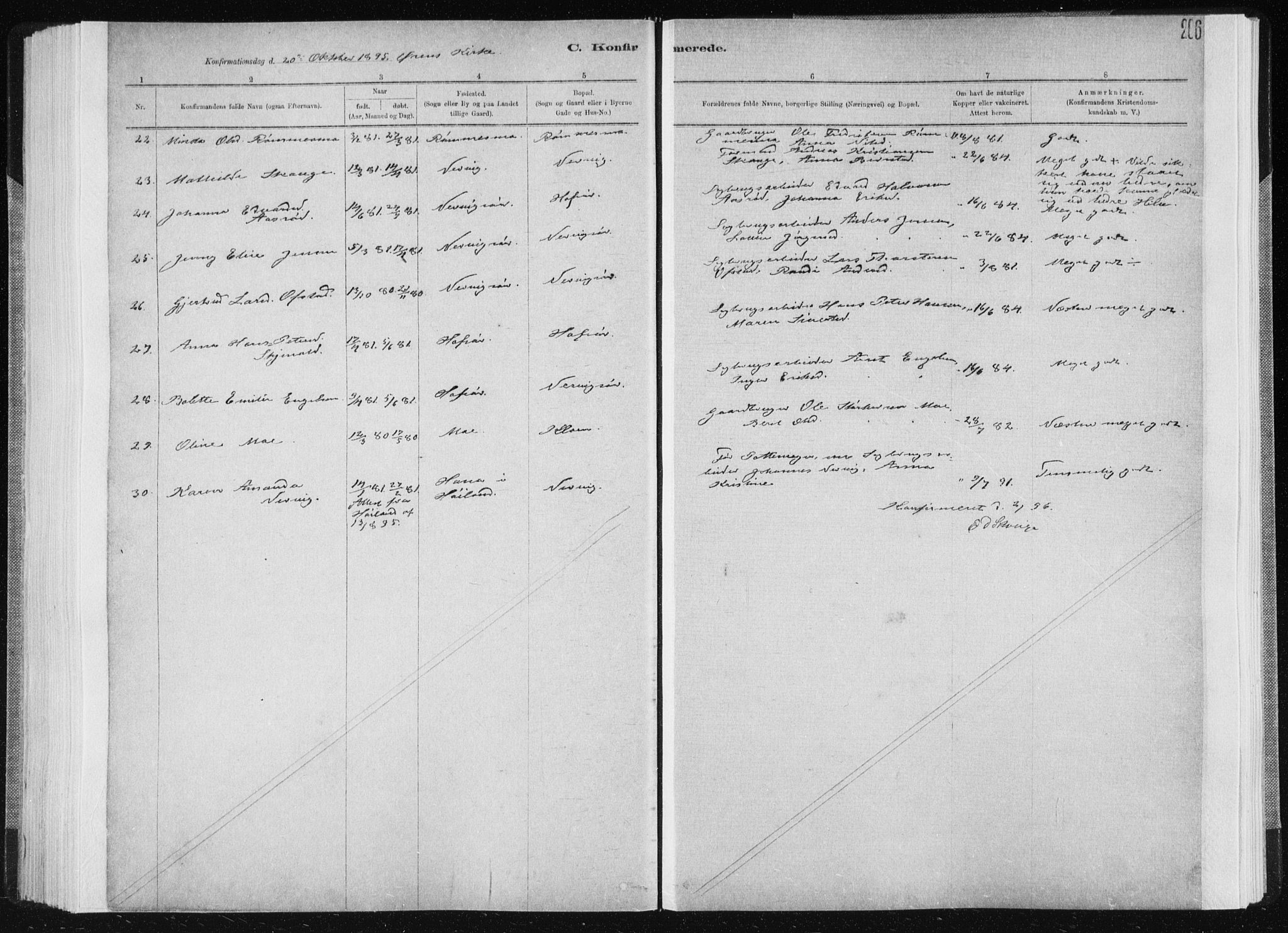 Ministerialprotokoller, klokkerbøker og fødselsregistre - Sør-Trøndelag, SAT/A-1456/668/L0818: Parish register (copy) no. 668C07, 1885-1898, p. 206