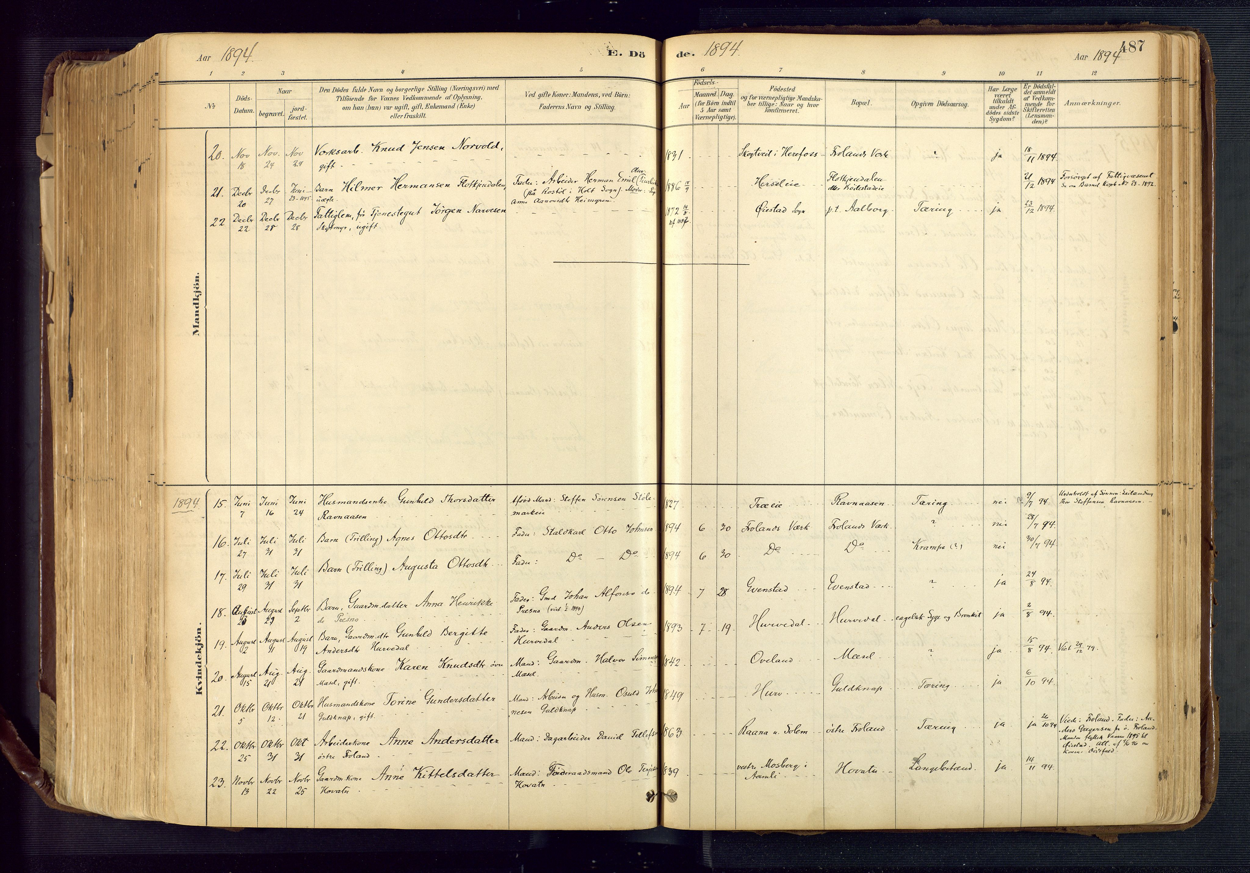 Froland sokneprestkontor, AV/SAK-1111-0013/F/Fa/L0005: Parish register (official) no. A 5, 1882-1921, p. 487