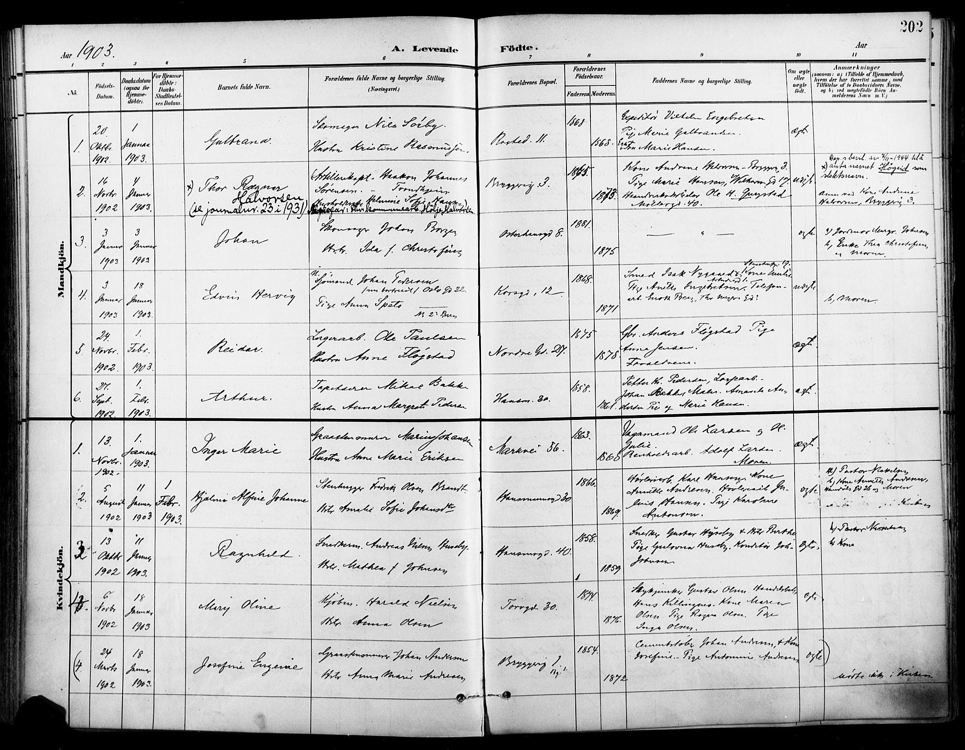 Jakob prestekontor Kirkebøker, SAO/A-10850/F/Fa/L0005: Parish register (official) no. 5, 1896-1903, p. 202
