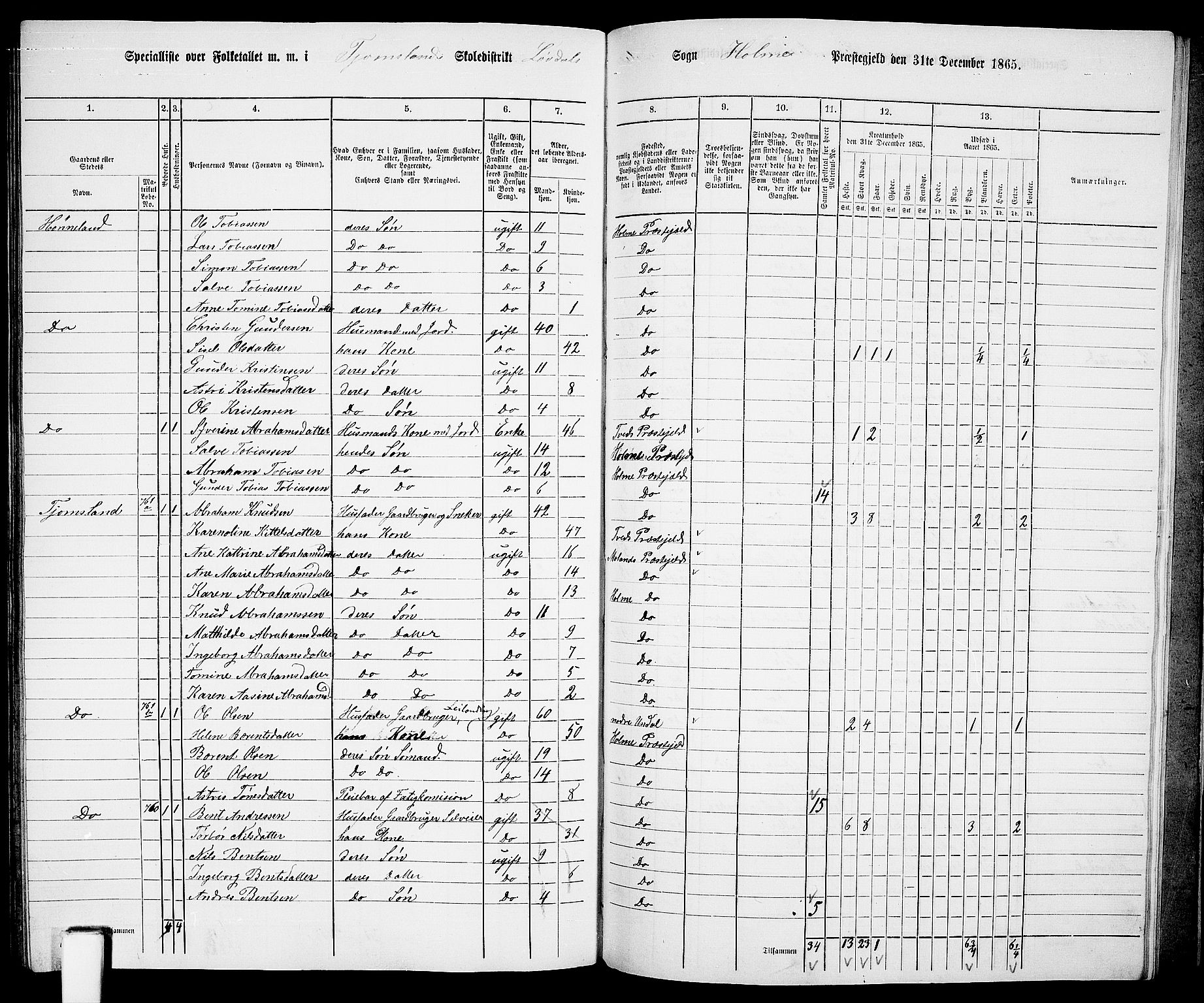 RA, 1865 census for Holum, 1865, p. 153