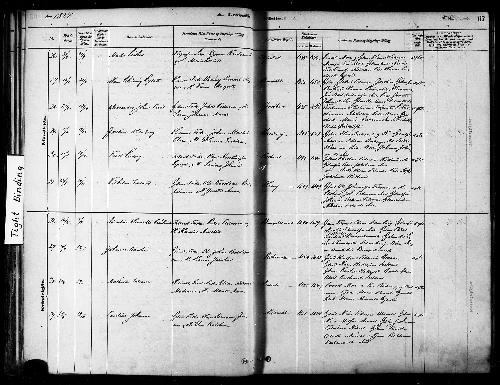 Ministerialprotokoller, klokkerbøker og fødselsregistre - Nordland, AV/SAT-A-1459/852/L0740: Parish register (official) no. 852A10, 1878-1894, p. 67