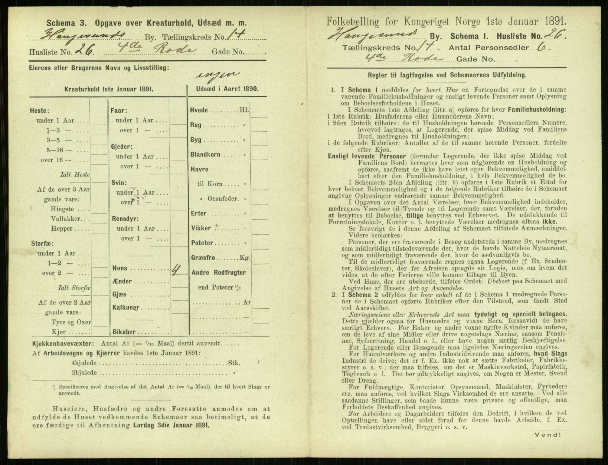 RA, 1891 census for 1106 Haugesund, 1891, p. 958