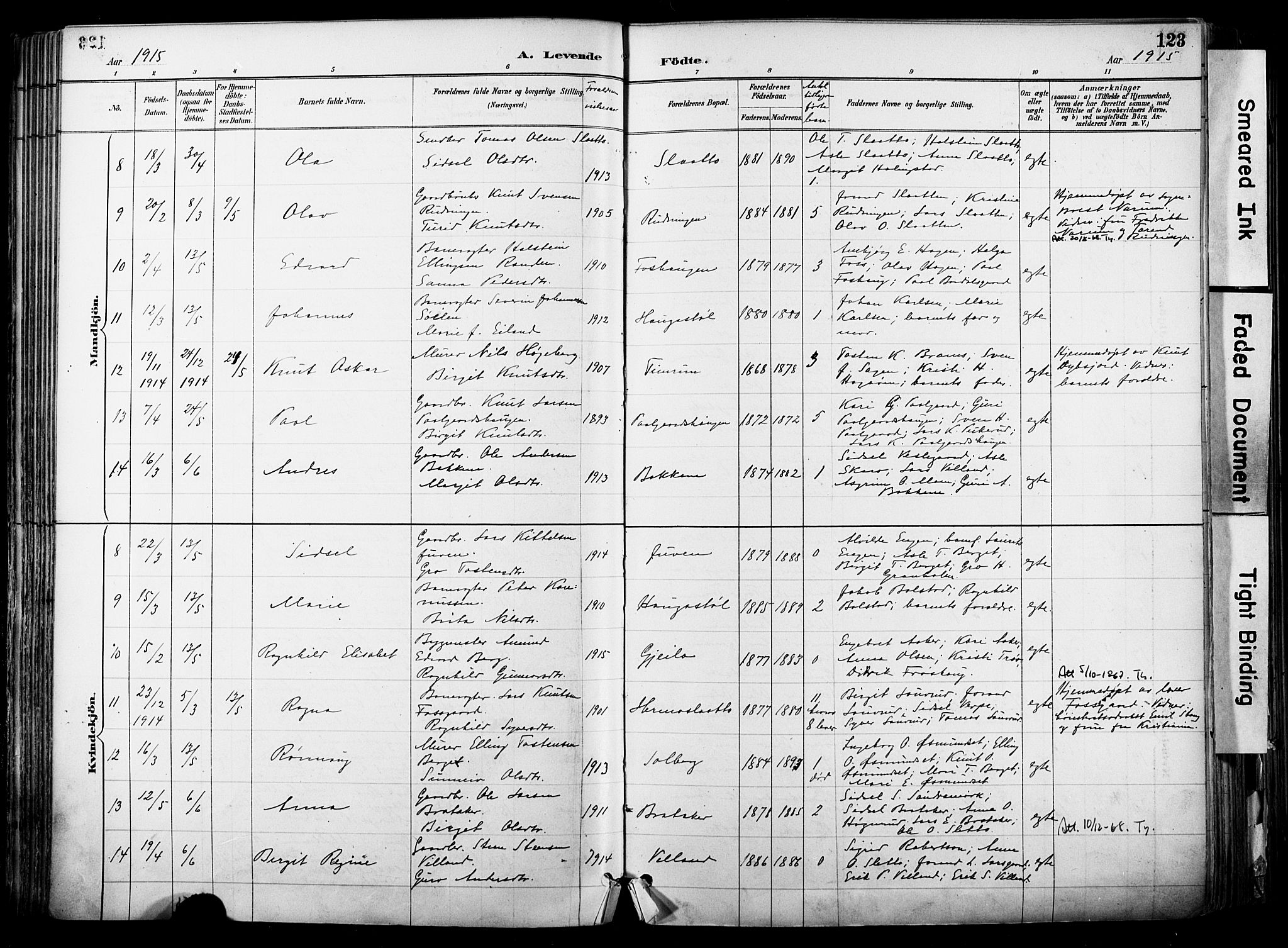 Hol kirkebøker, AV/SAKO-A-227/F/Fa/L0003: Parish register (official) no. I 3, 1887-1918, p. 123