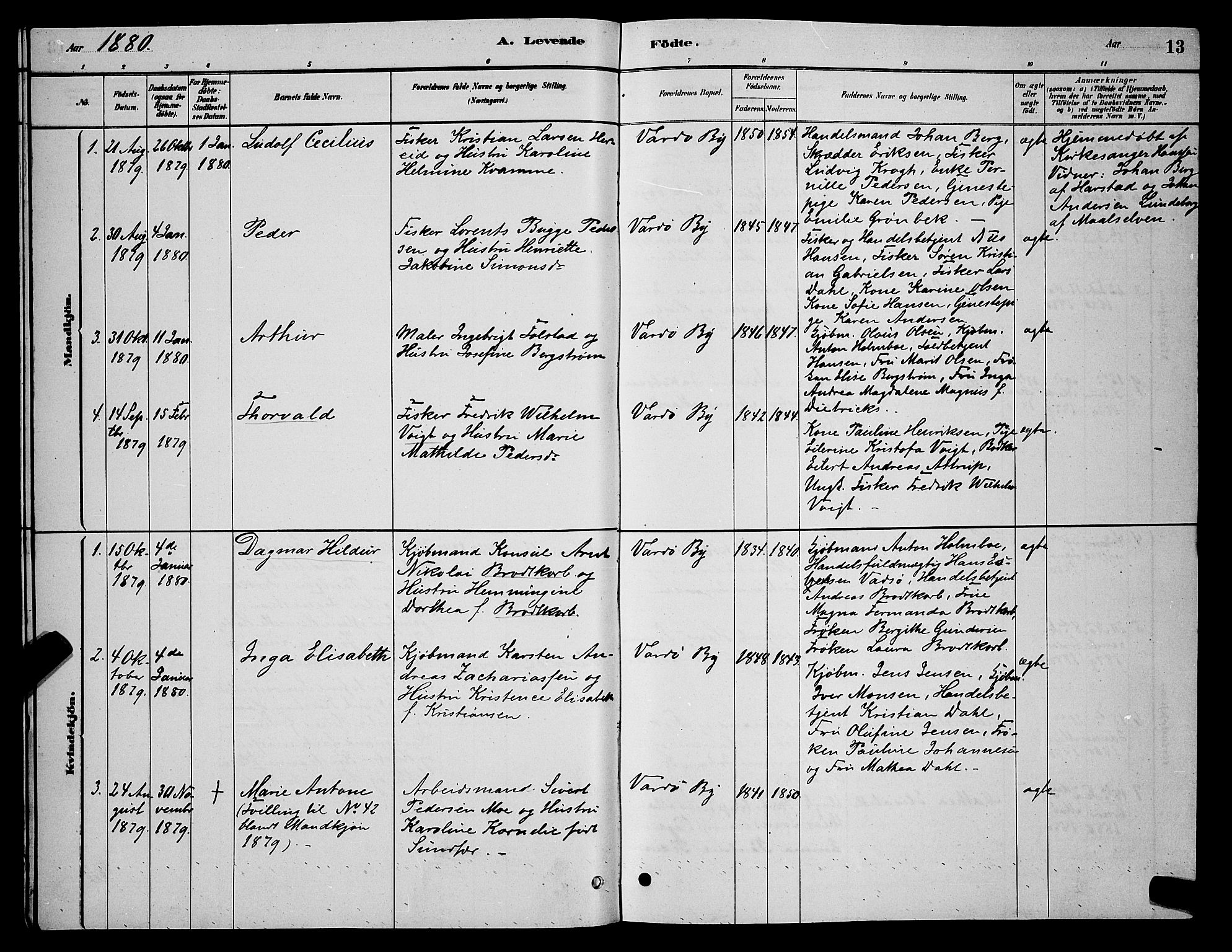 Vardø sokneprestkontor, AV/SATØ-S-1332/H/Hb/L0004klokker: Parish register (copy) no. 4, 1879-1887, p. 13