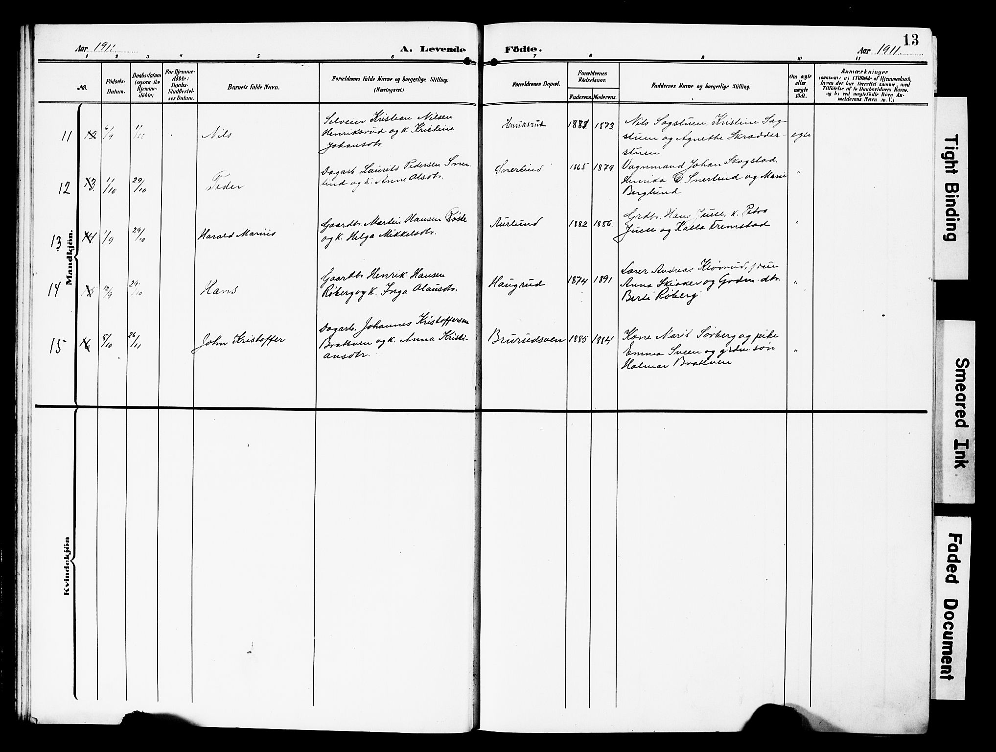 Nordre Land prestekontor, SAH/PREST-124/H/Ha/Hab/L0001: Parish register (copy) no. 1, 1908-1931, p. 13