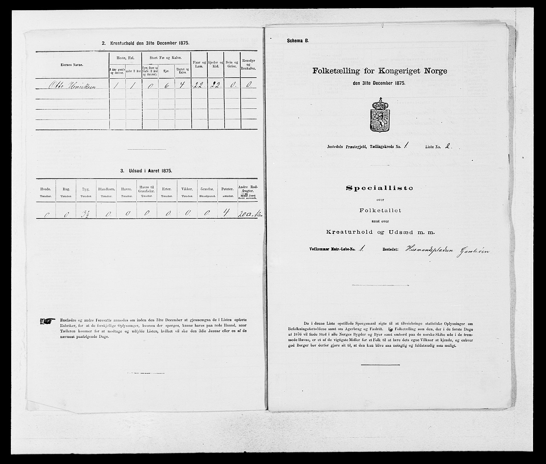 SAB, 1875 census for 1427P Jostedal, 1875, p. 13