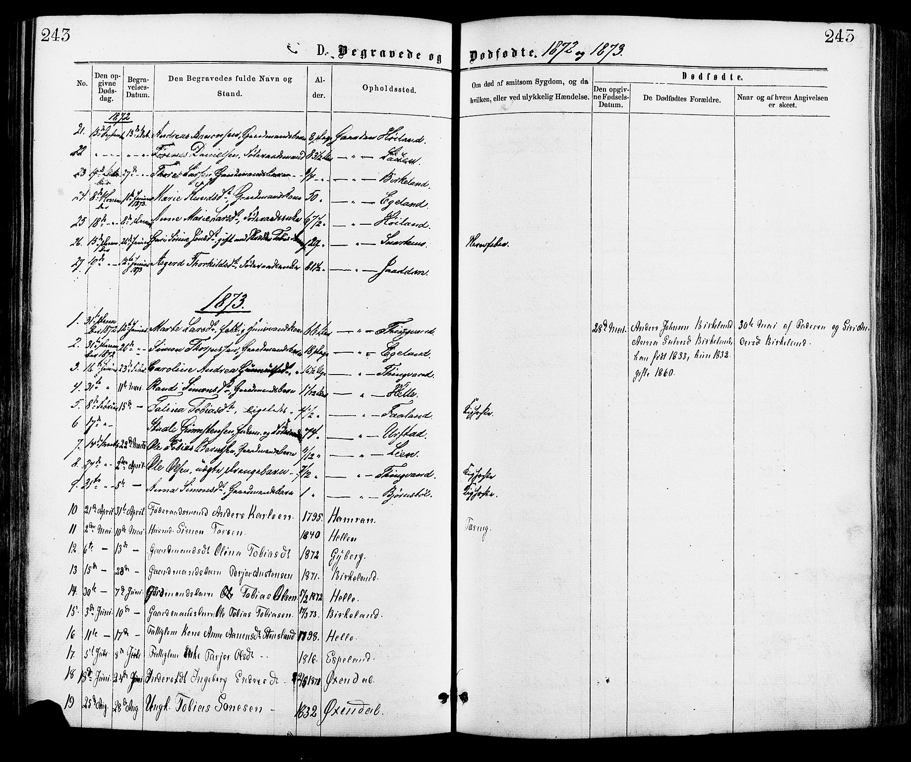 Hægebostad sokneprestkontor, AV/SAK-1111-0024/F/Fa/Faa/L0005: Parish register (official) no. A 5, 1864-1886, p. 243