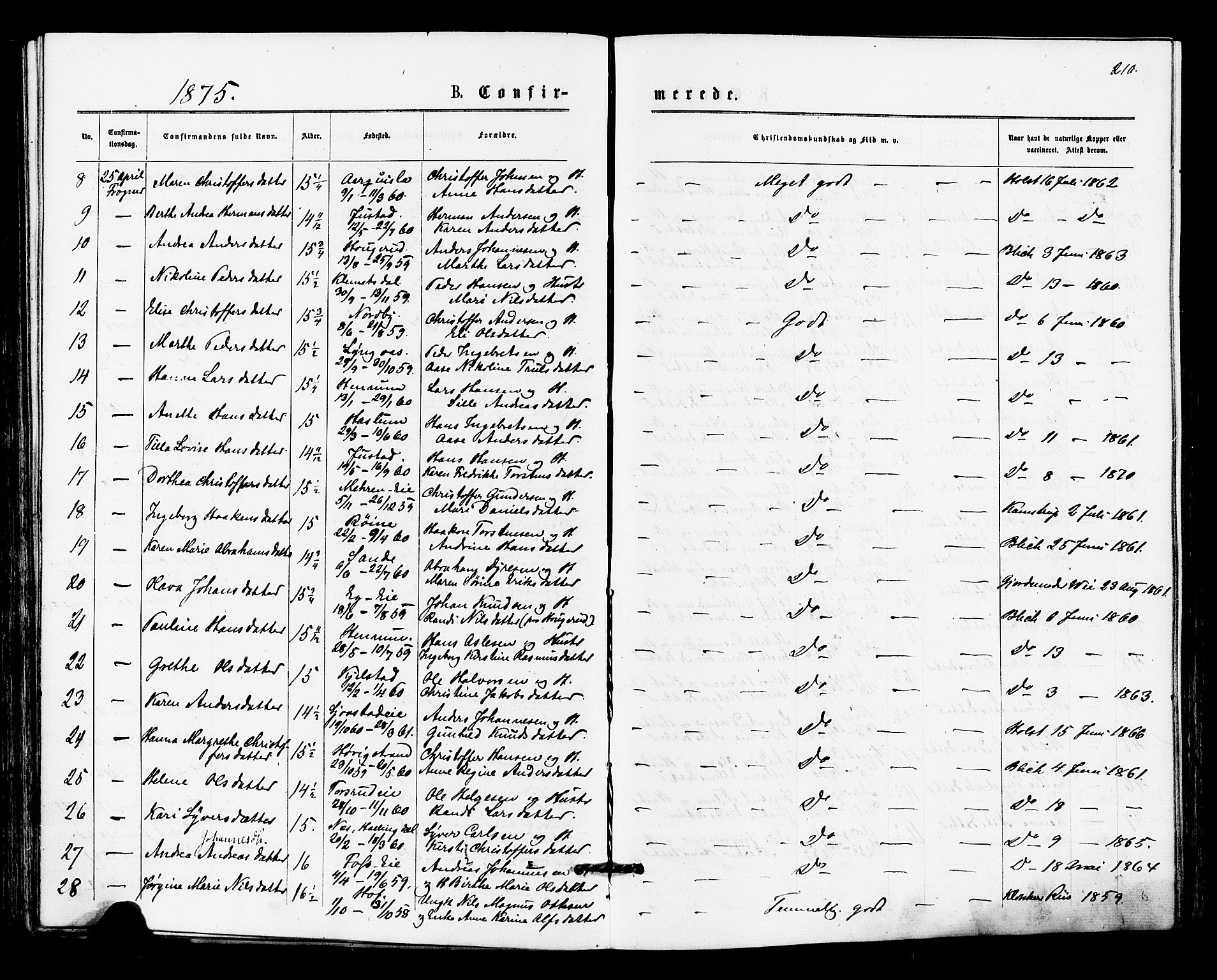 Lier kirkebøker, SAKO/A-230/F/Fa/L0014: Parish register (official) no. I 14, 1875-1882, p. 210