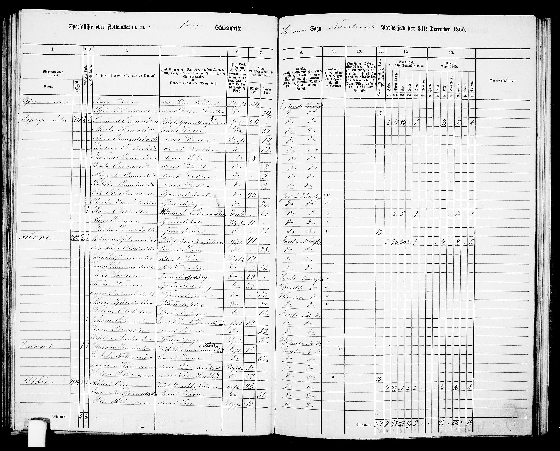 RA, 1865 census for Nedstrand, 1865, p. 80