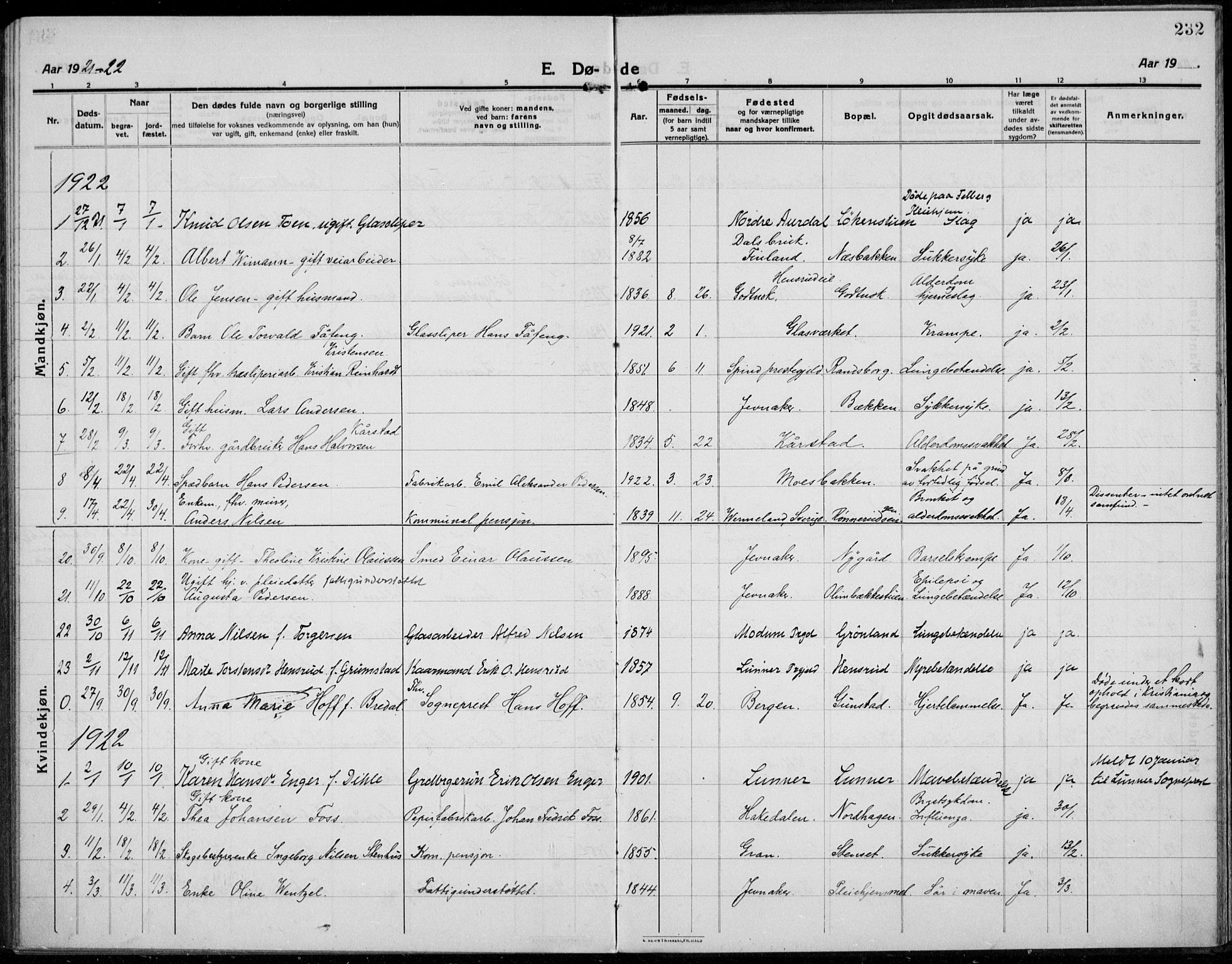 Jevnaker prestekontor, AV/SAH-PREST-116/H/Ha/Haa/L0012: Parish register (official) no. 12, 1914-1924, p. 232