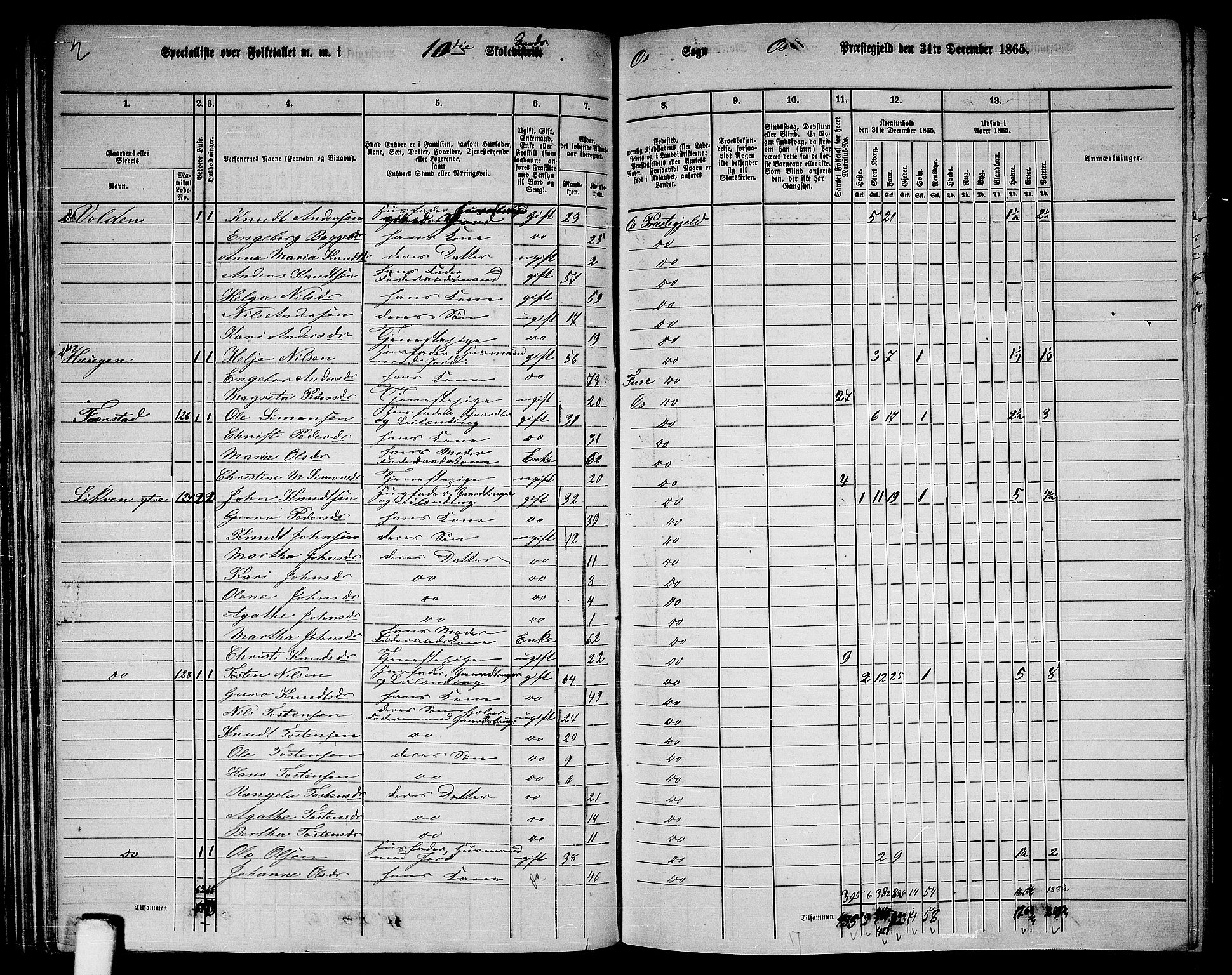 RA, 1865 census for Os, 1865, p. 61