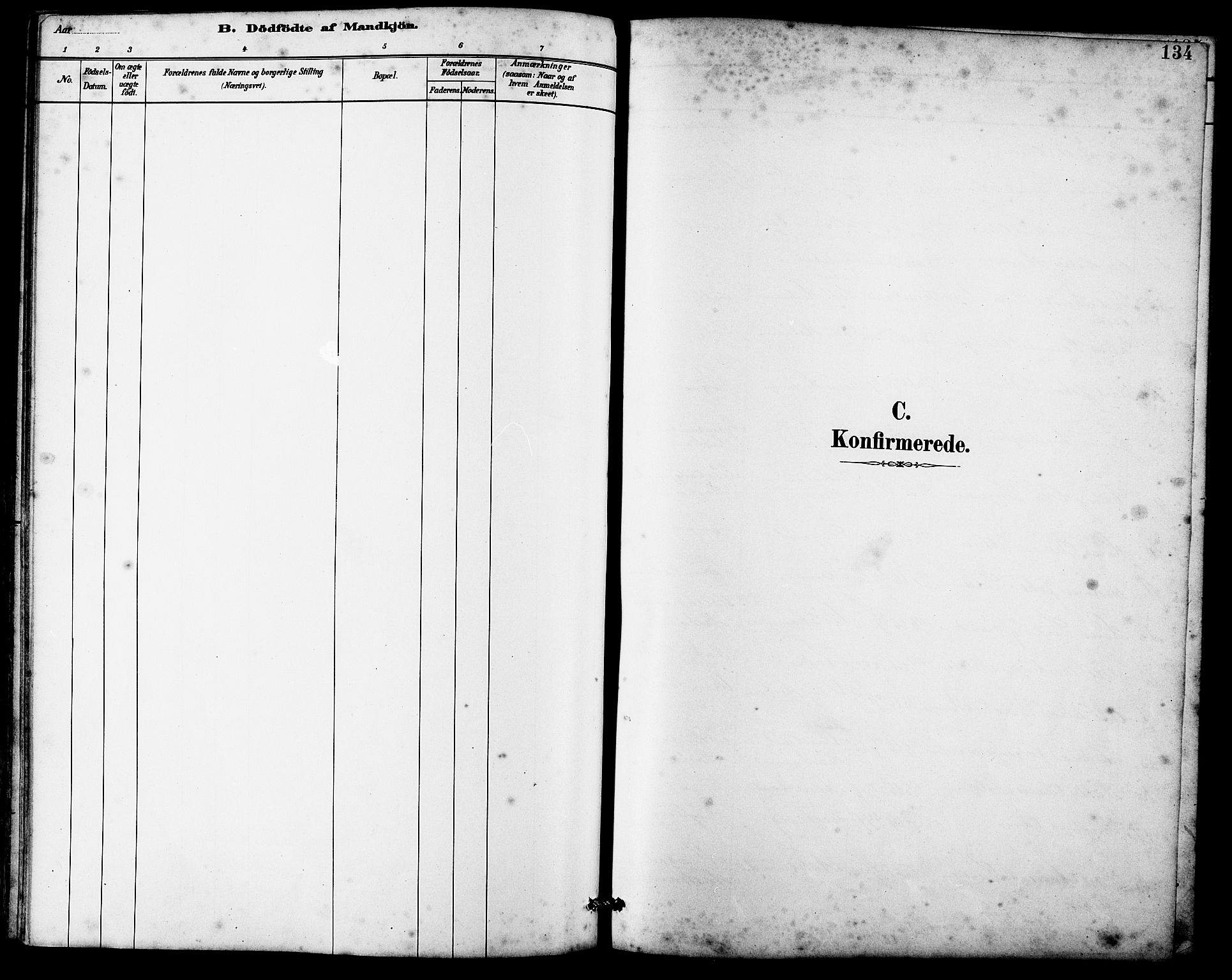 Ministerialprotokoller, klokkerbøker og fødselsregistre - Møre og Romsdal, SAT/A-1454/536/L0510: Parish register (copy) no. 536C05, 1881-1898, p. 134