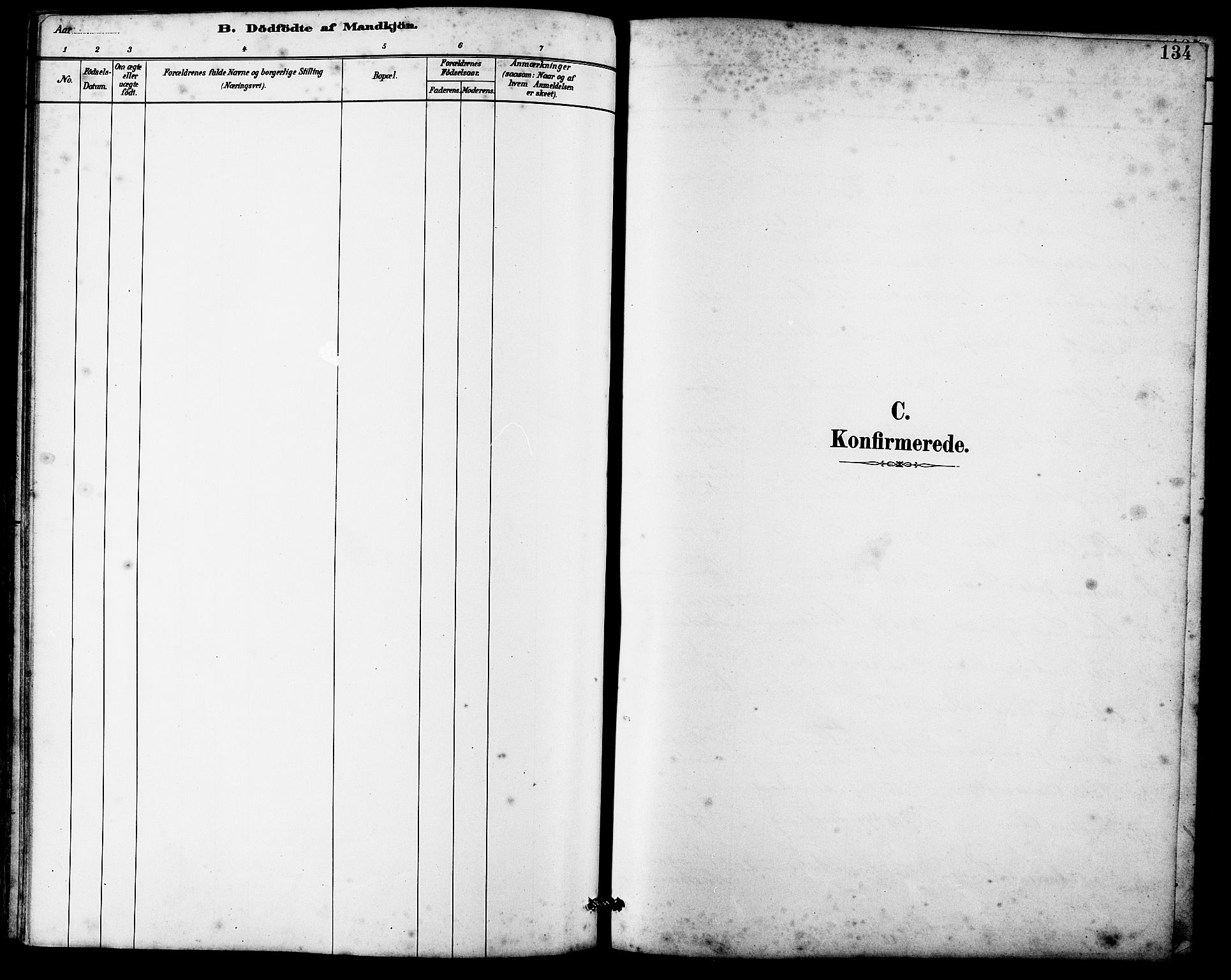 Ministerialprotokoller, klokkerbøker og fødselsregistre - Møre og Romsdal, AV/SAT-A-1454/536/L0510: Parish register (copy) no. 536C05, 1881-1898, p. 134