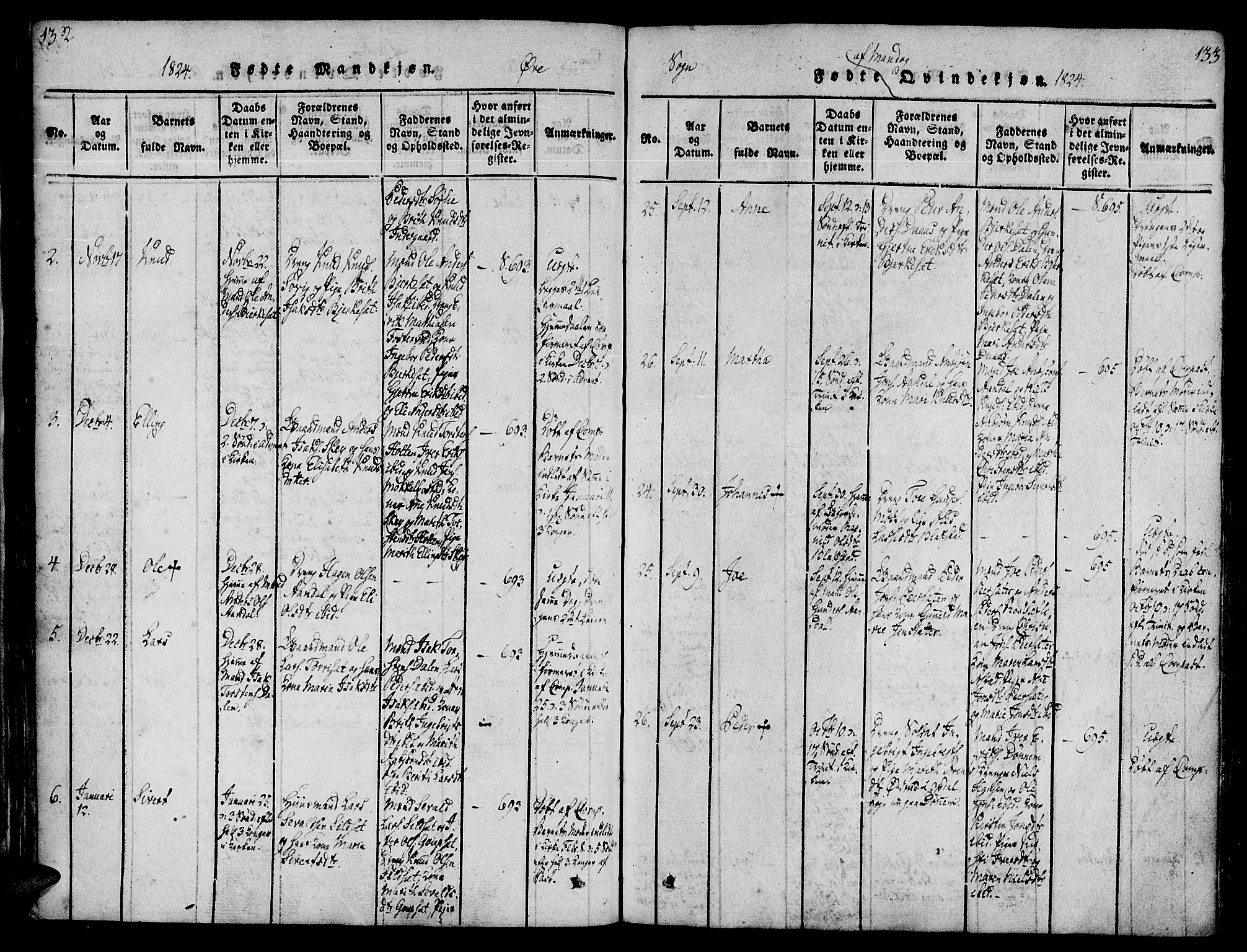 Ministerialprotokoller, klokkerbøker og fødselsregistre - Møre og Romsdal, SAT/A-1454/586/L0982: Parish register (official) no. 586A08, 1819-1829, p. 132-133