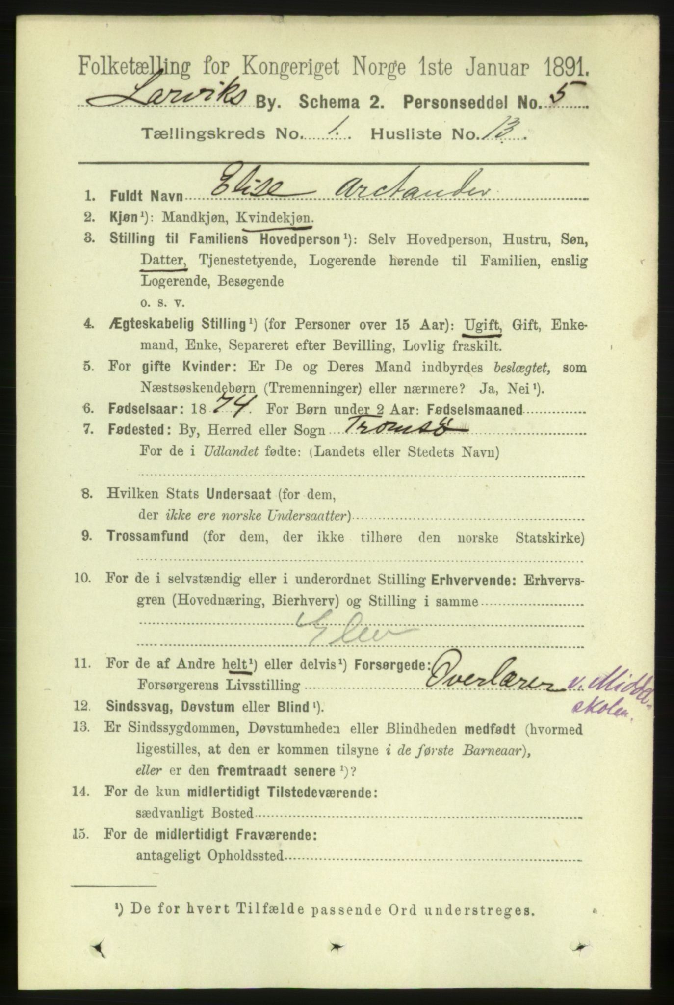 RA, 1891 census for 0707 Larvik, 1891, p. 2456