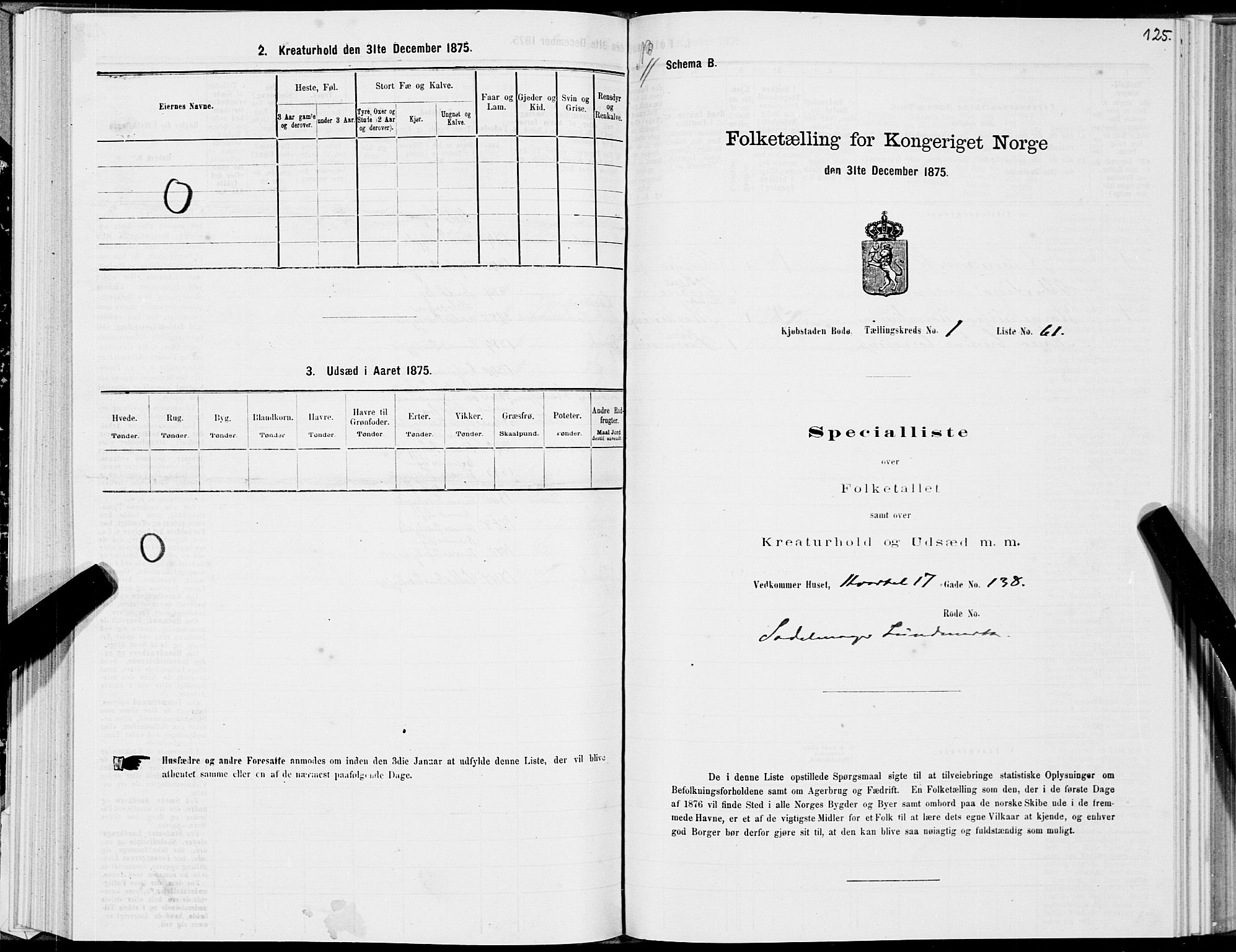 SAT, 1875 census for 1804B Bodø/Bodø, 1875, p. 125