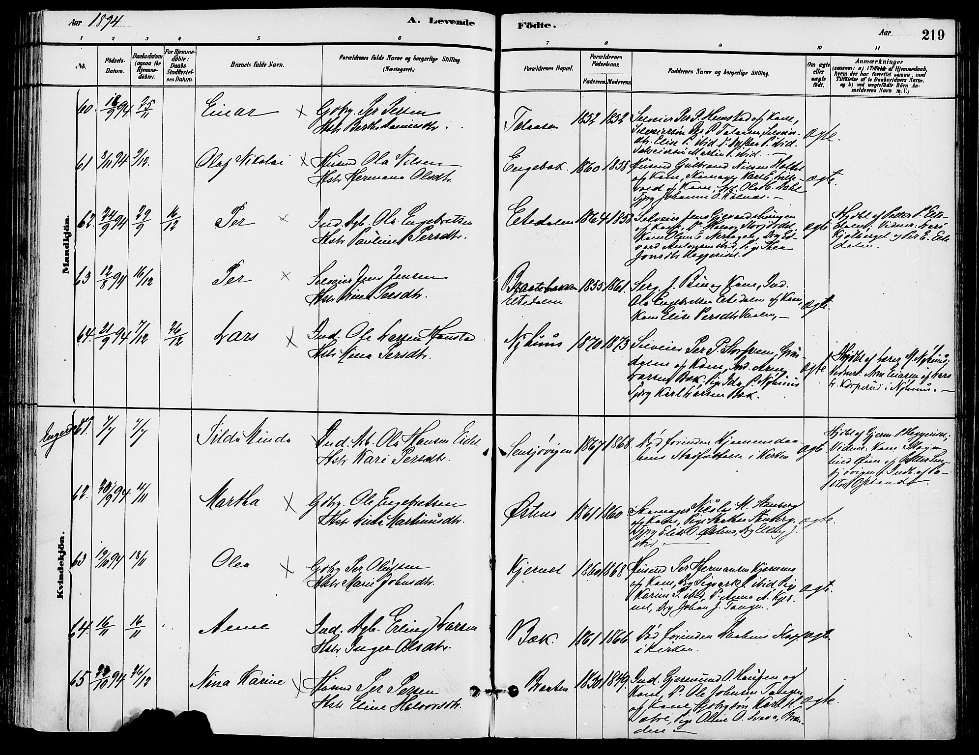 Trysil prestekontor, SAH/PREST-046/H/Ha/Haa/L0008: Parish register (official) no. 8, 1881-1897, p. 219