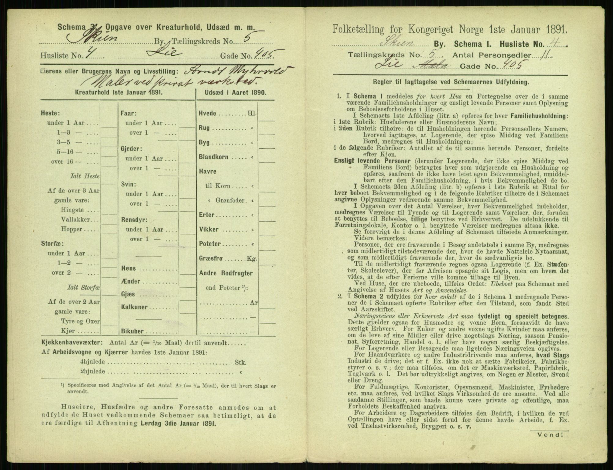 RA, 1891 census for 0806 Skien, 1891, p. 266