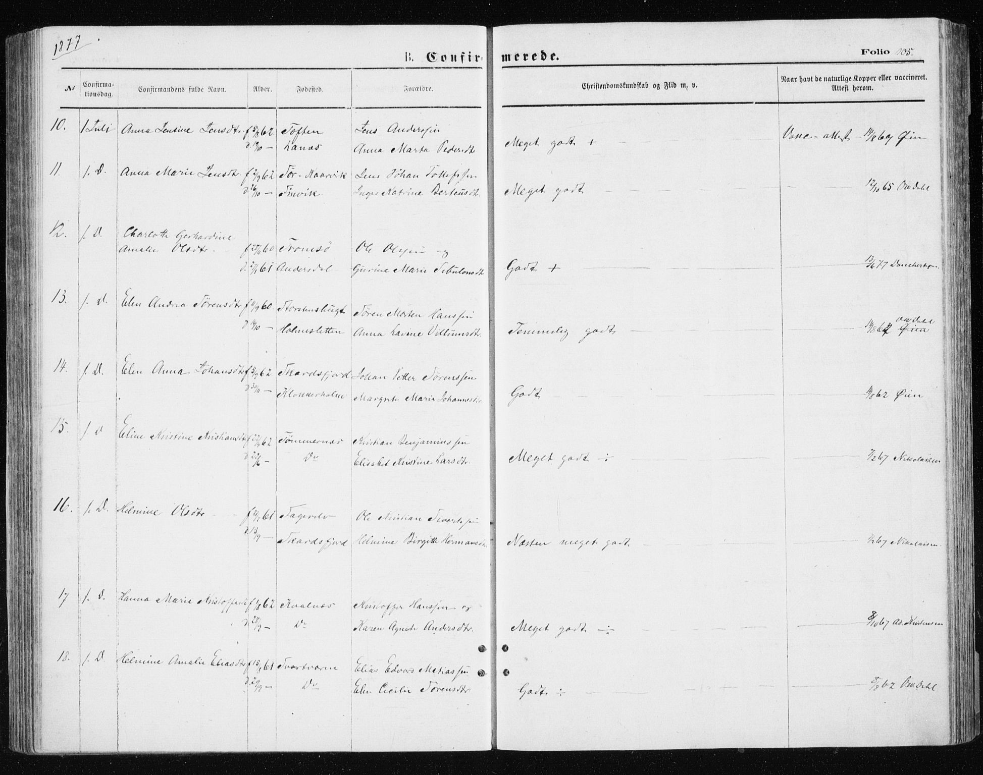 Tromsøysund sokneprestkontor, SATØ/S-1304/G/Ga/L0003kirke: Parish register (official) no. 3, 1875-1880, p. 105