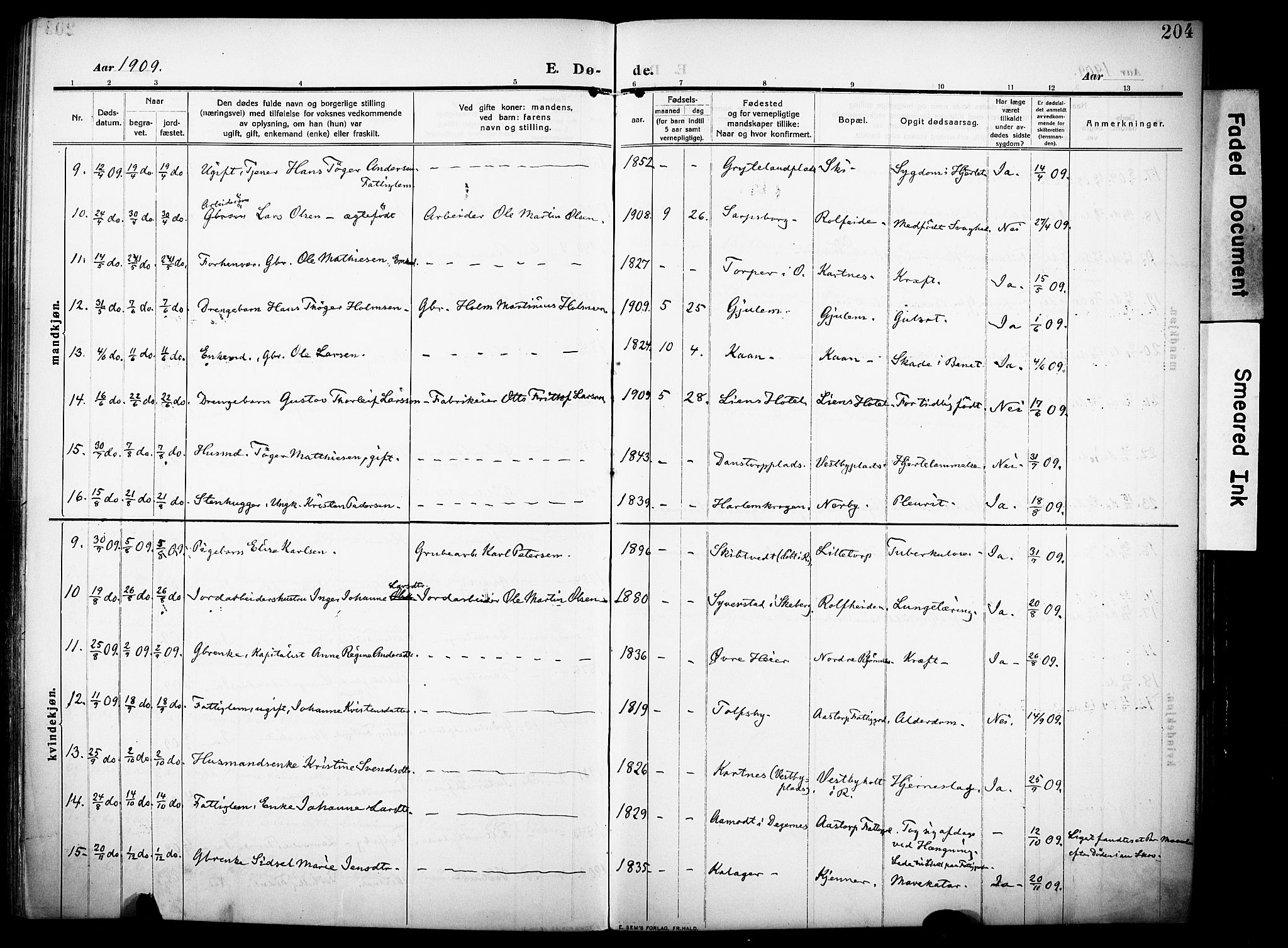 Rakkestad prestekontor Kirkebøker, AV/SAO-A-2008/F/Fa/L0015: Parish register (official) no. I 15, 1909-1922, p. 204