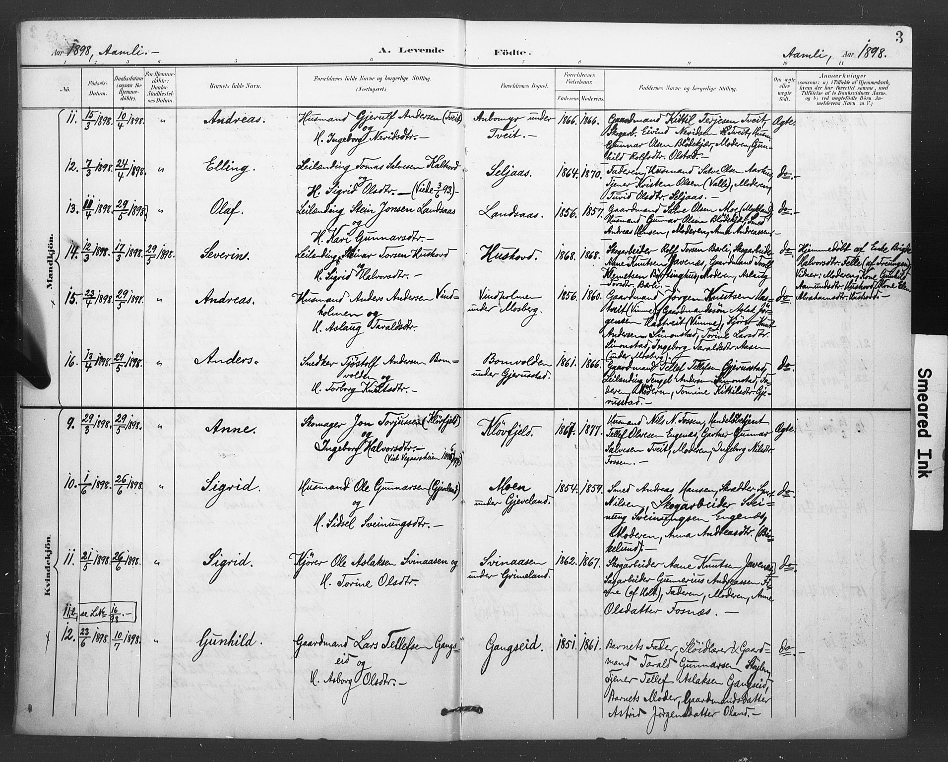 Åmli sokneprestkontor, AV/SAK-1111-0050/F/Fa/Fac/L0011: Parish register (official) no. A 11, 1898-1899, p. 3