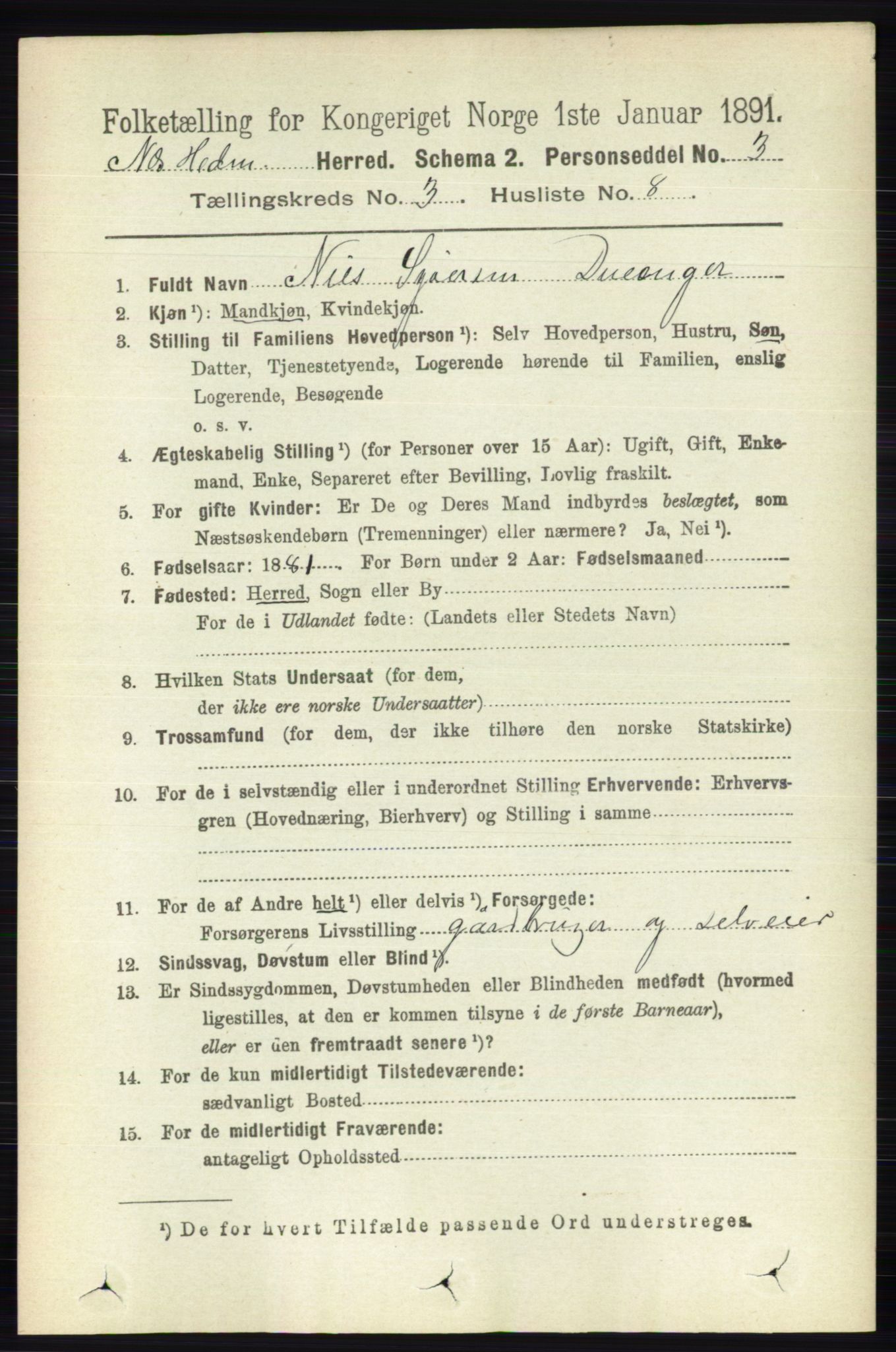 RA, 1891 census for 0411 Nes, 1891, p. 1631