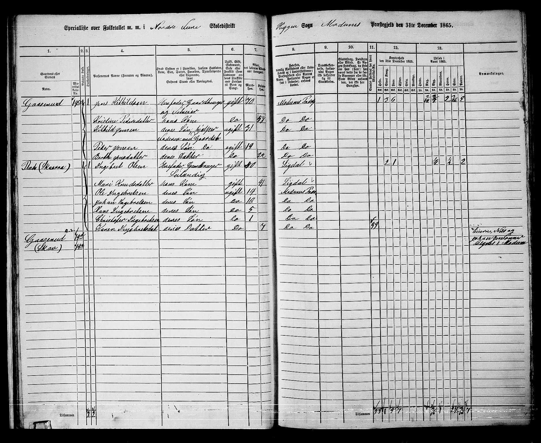 RA, 1865 census for Modum, 1865, p. 31