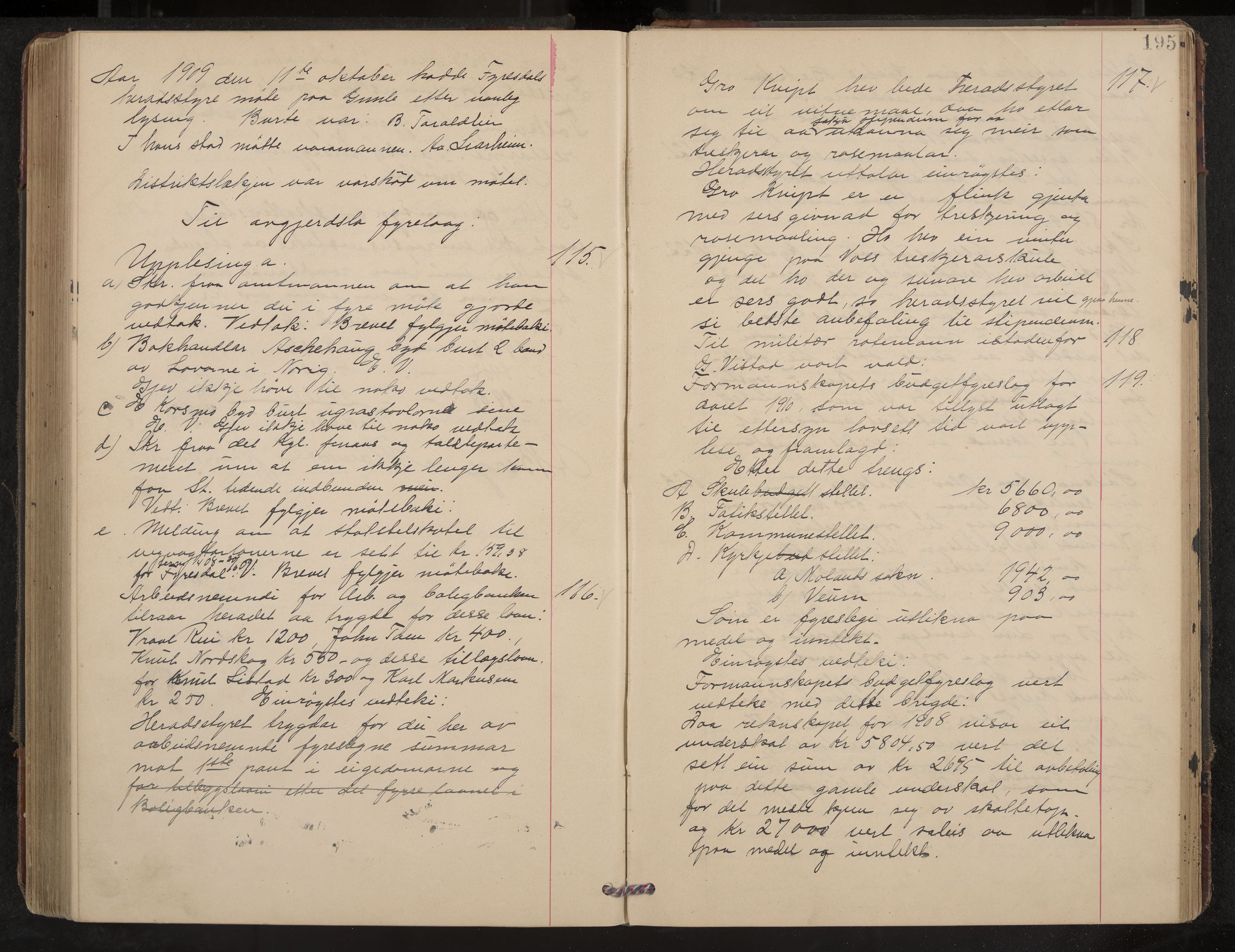 Fyresdal formannskap og sentraladministrasjon, IKAK/0831021-1/Aa/L0004: Møtebok, 1903-1911, p. 195