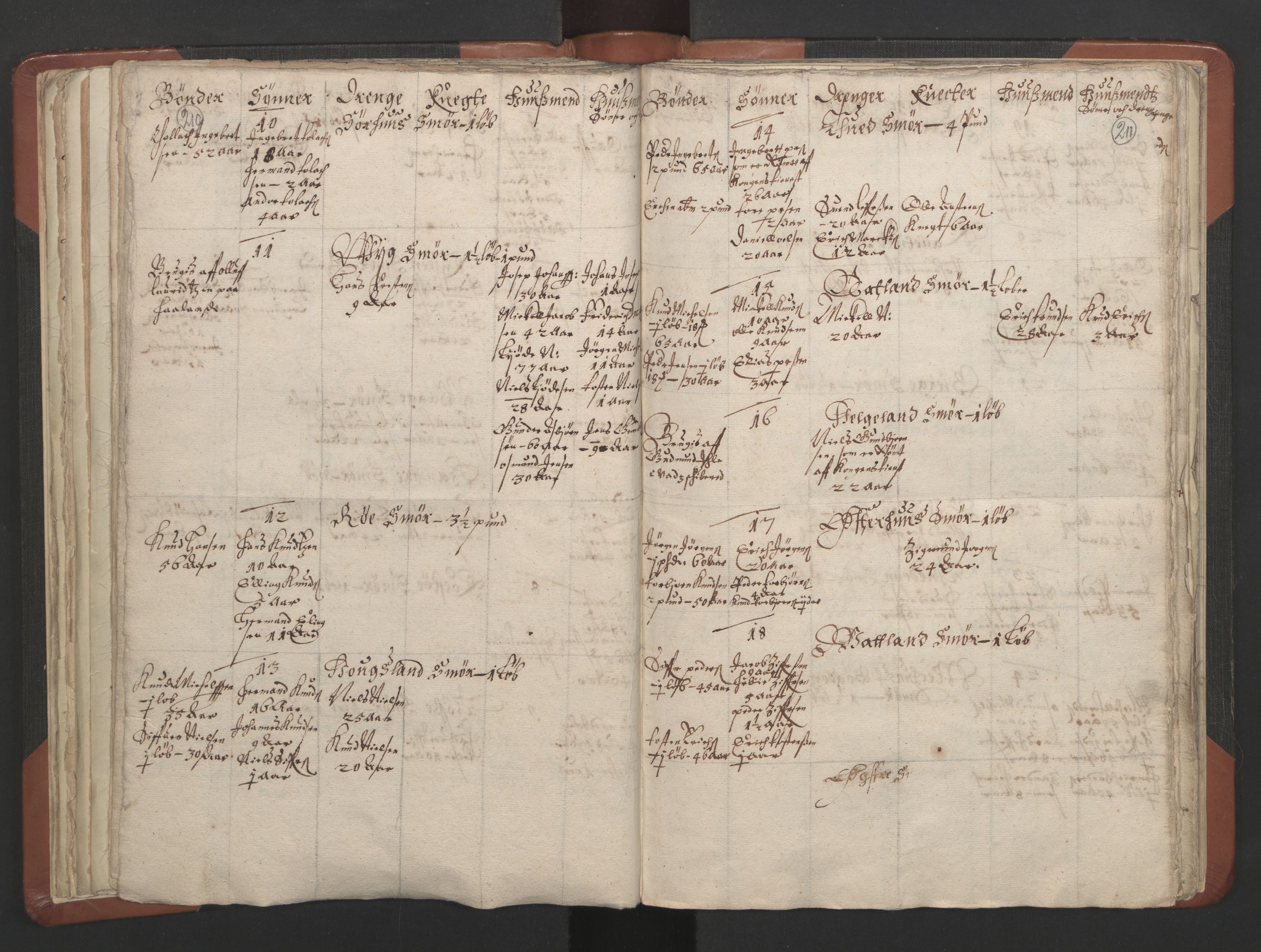 RA, Vicar's Census 1664-1666, no. 19: Ryfylke deanery, 1664-1666, p. 210-211