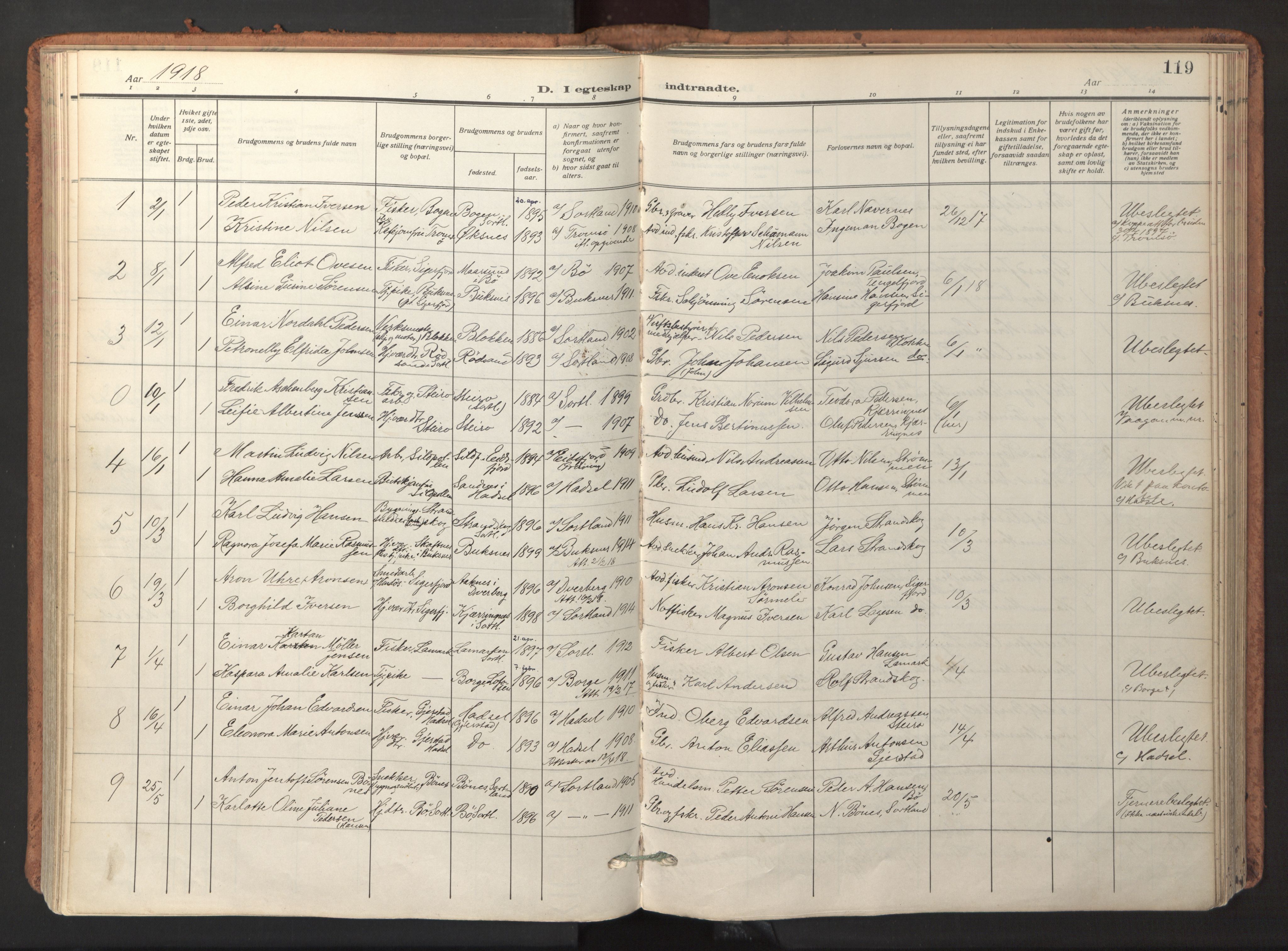 Ministerialprotokoller, klokkerbøker og fødselsregistre - Nordland, AV/SAT-A-1459/895/L1374: Parish register (official) no. 895A09, 1915-1925, p. 119