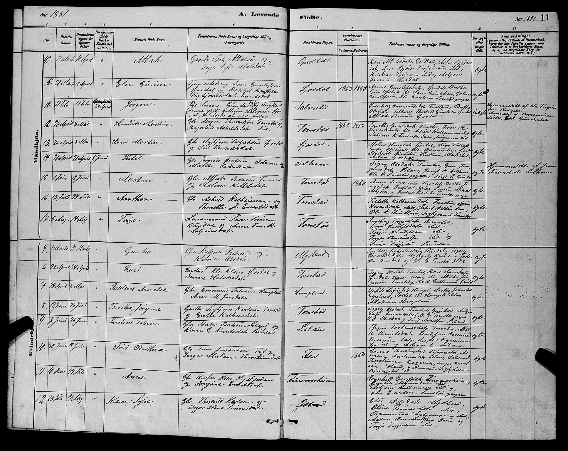 Sirdal sokneprestkontor, AV/SAK-1111-0036/F/Fb/Fbb/L0003: Parish register (copy) no. B 3, 1878-1894, p. 11