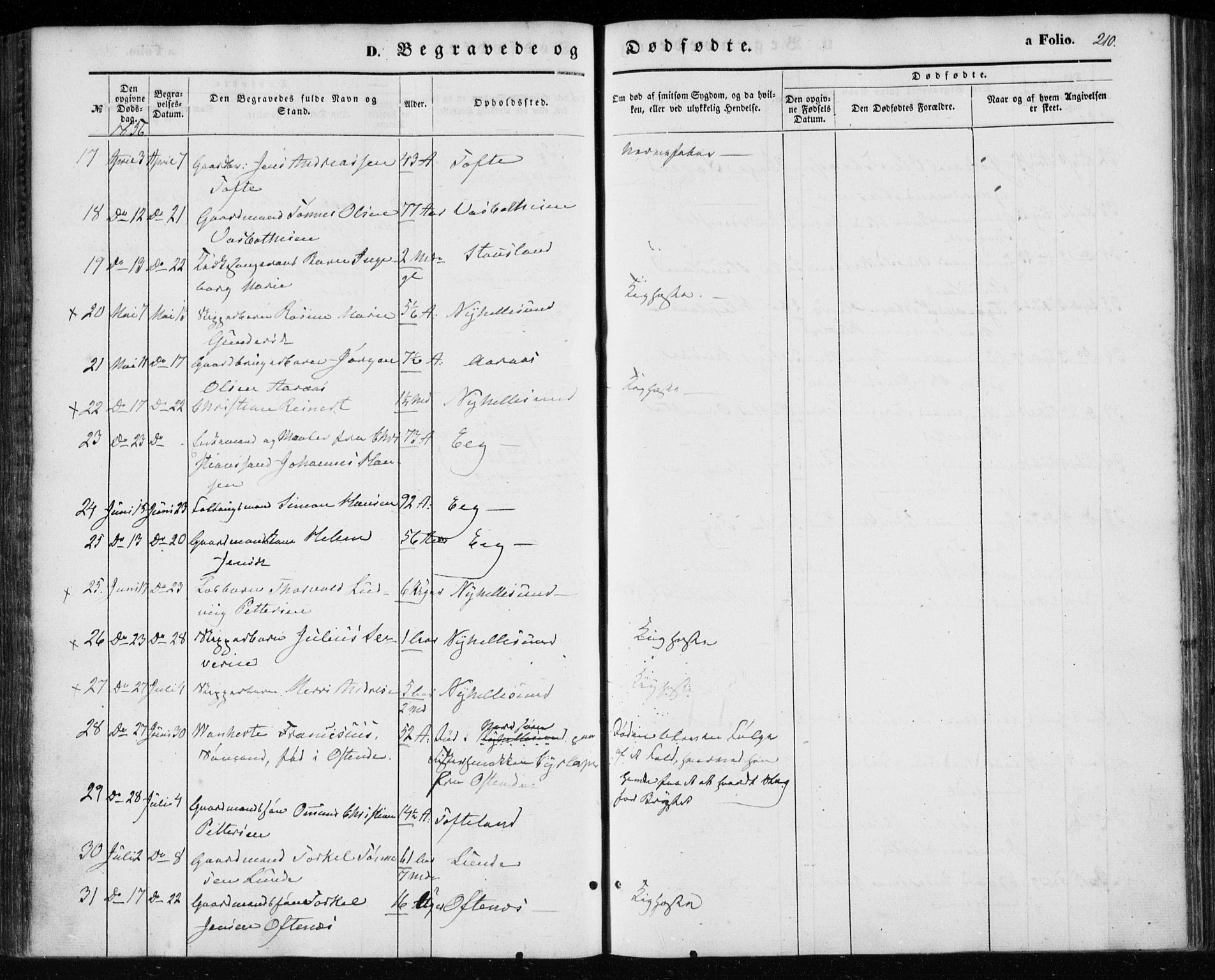 Søgne sokneprestkontor, SAK/1111-0037/F/Fa/Fab/L0010: Parish register (official) no. A 10, 1853-1869, p. 210
