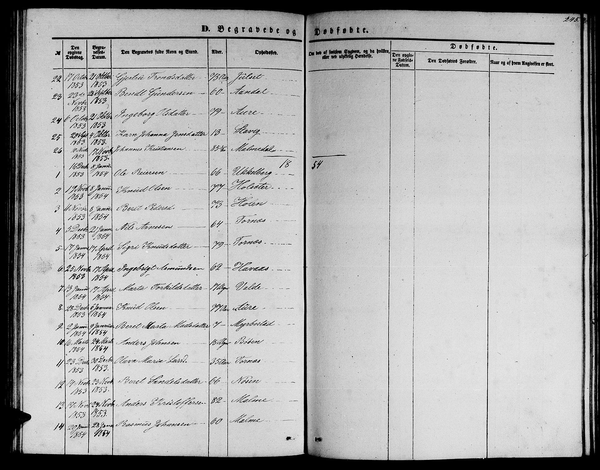 Ministerialprotokoller, klokkerbøker og fødselsregistre - Møre og Romsdal, SAT/A-1454/565/L0753: Parish register (copy) no. 565C02, 1845-1870, p. 245