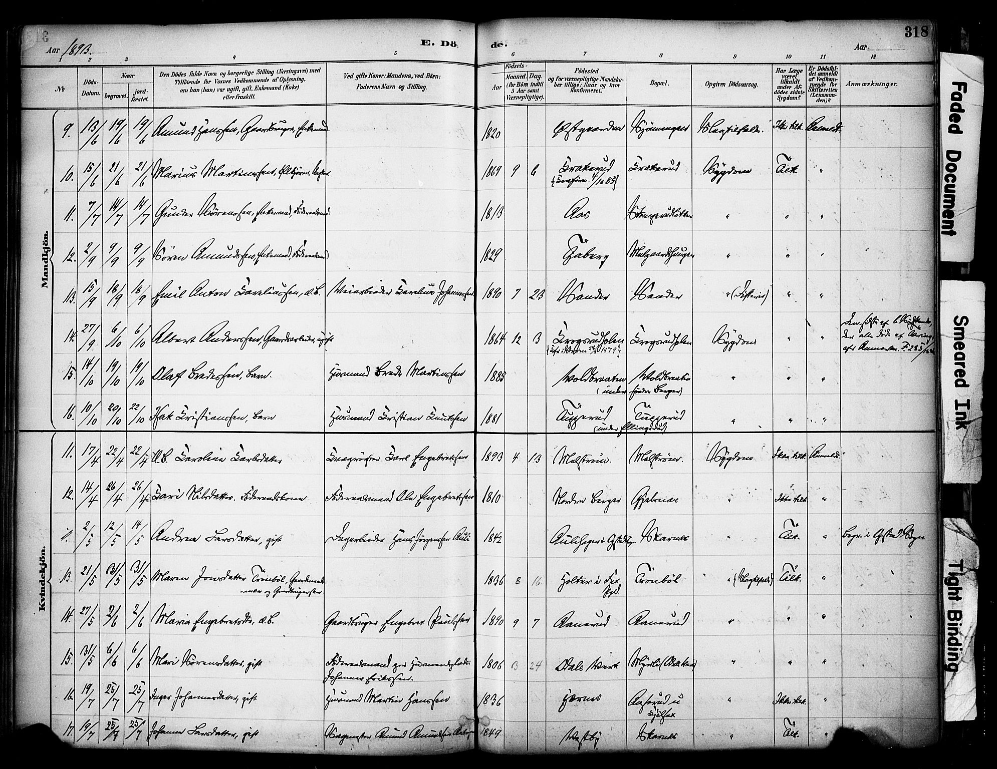 Sør-Odal prestekontor, AV/SAH-PREST-030/H/Ha/Haa/L0007: Parish register (official) no. 7, 1886-1925, p. 318