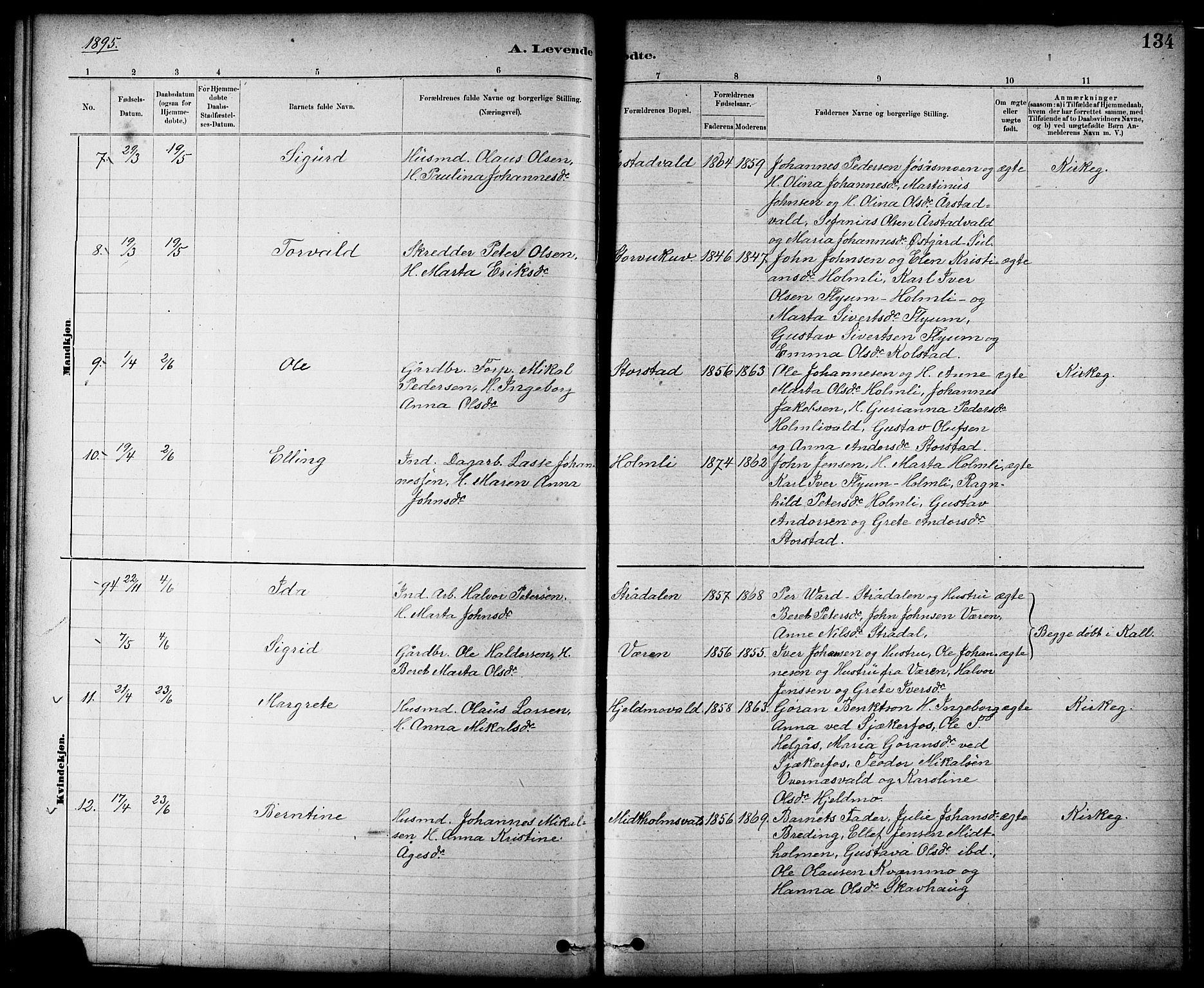 Ministerialprotokoller, klokkerbøker og fødselsregistre - Nord-Trøndelag, AV/SAT-A-1458/724/L0267: Parish register (copy) no. 724C03, 1879-1898, p. 134