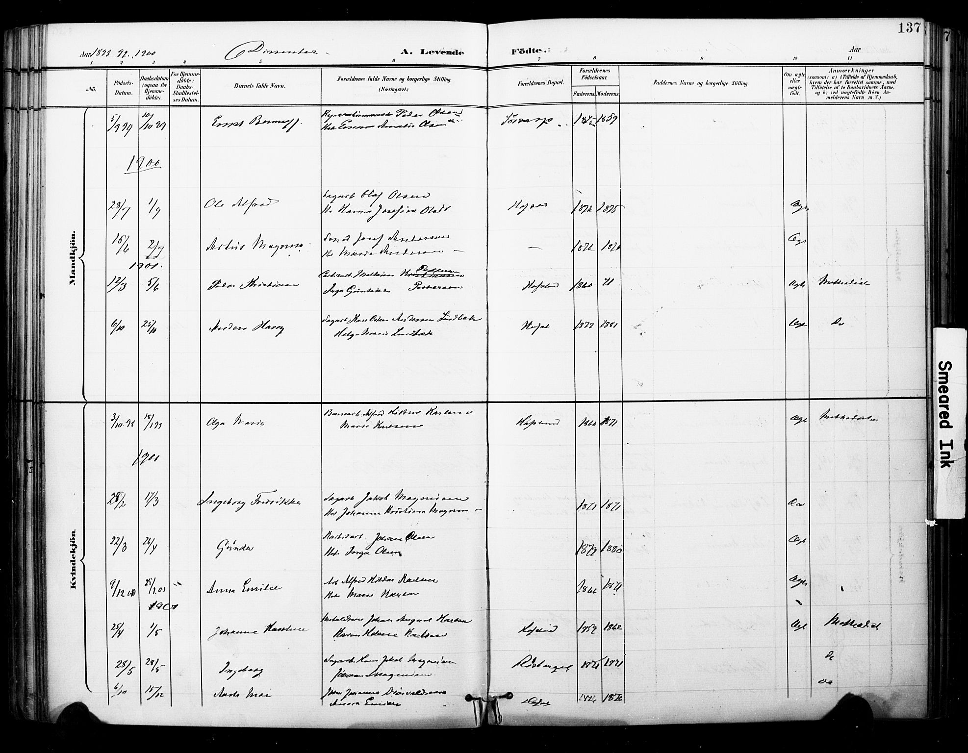 Skjeberg prestekontor Kirkebøker, AV/SAO-A-10923/F/Fa/L0010: Parish register (official) no. I 10, 1898-1911, p. 137