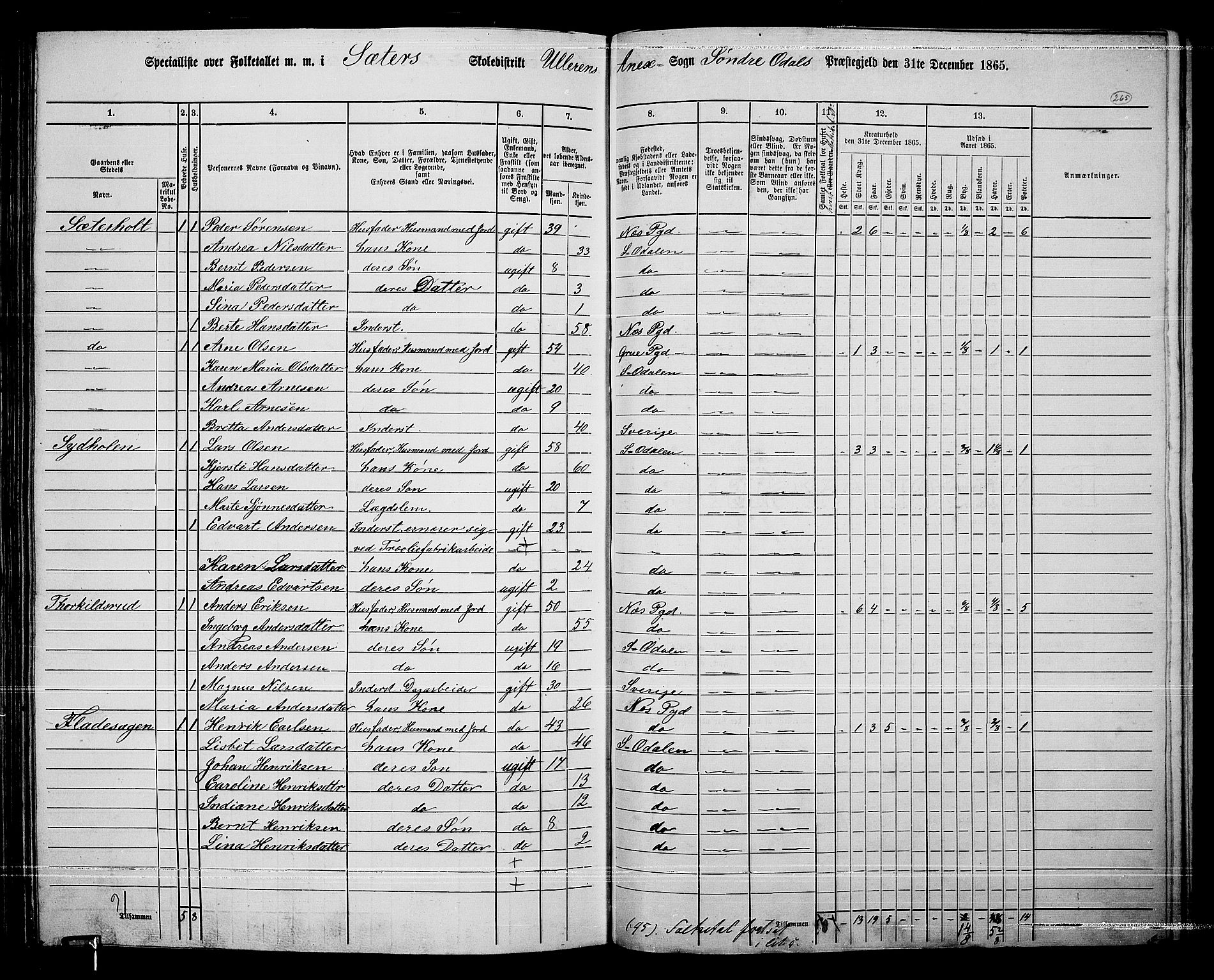 RA, 1865 census for Sør-Odal, 1865, p. 235