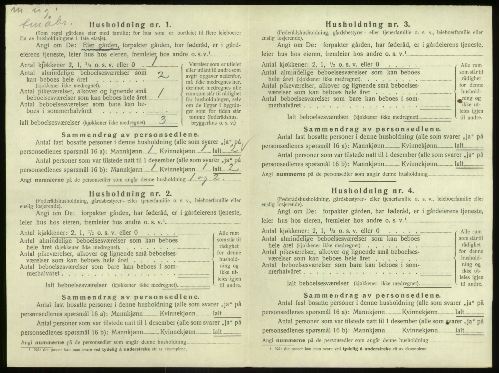 SAB, 1920 census for Hafslo, 1920, p. 1005