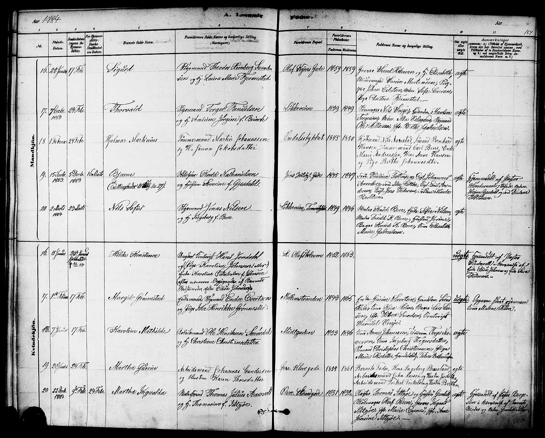 Domkirken sokneprestkontor, AV/SAST-A-101812/001/30/30BA/L0026: Parish register (official) no. A 25, 1878-1889, p. 164